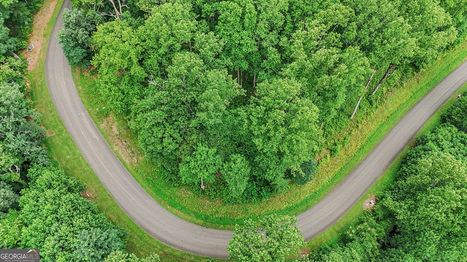 residential lot for sale at LT 296 Andes Ridge, Ellijay, GA 30536 — photo 10