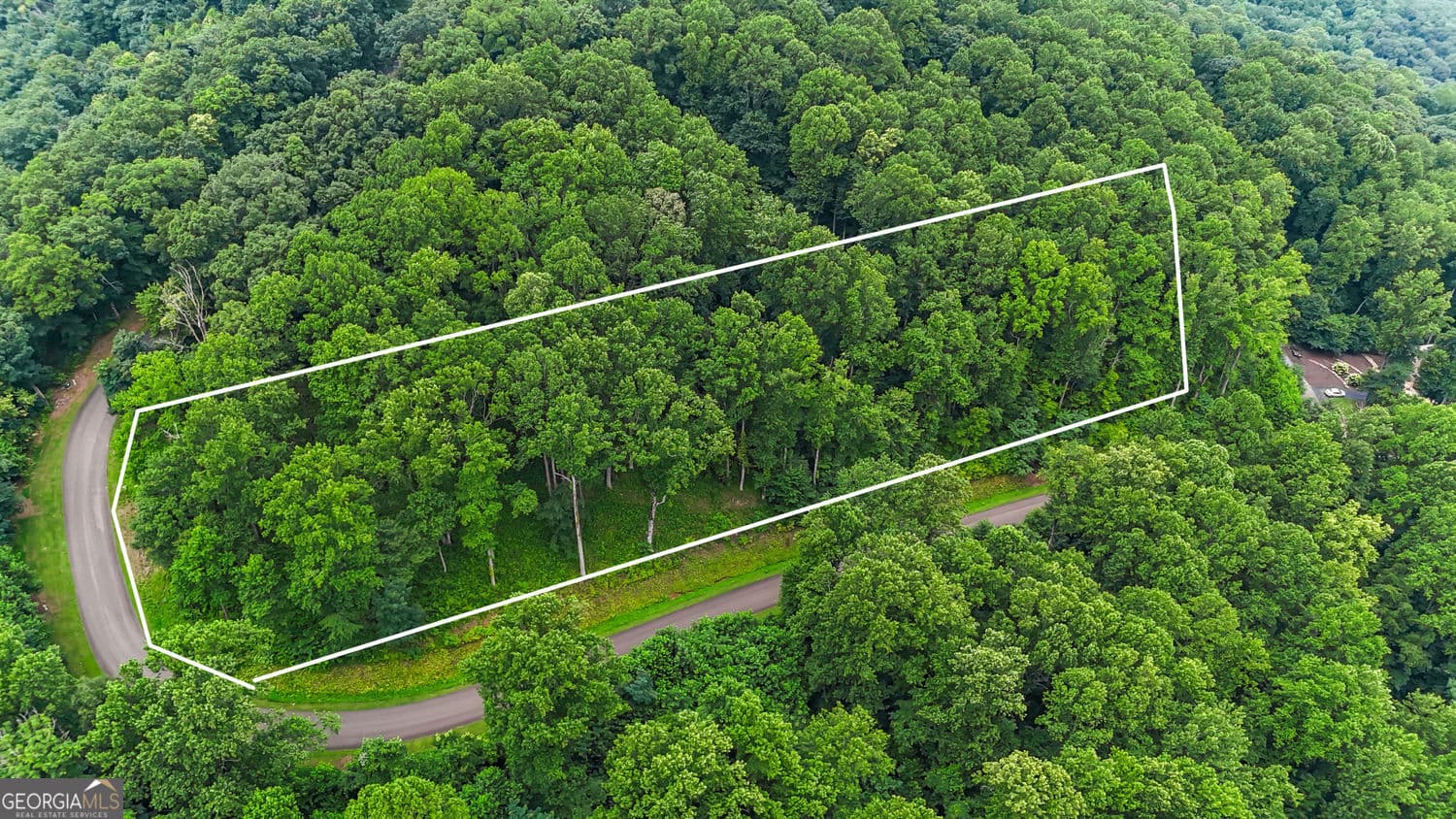 residential lot for sale at LT 296 Andes Ridge, Ellijay, GA 30536 — photo 4