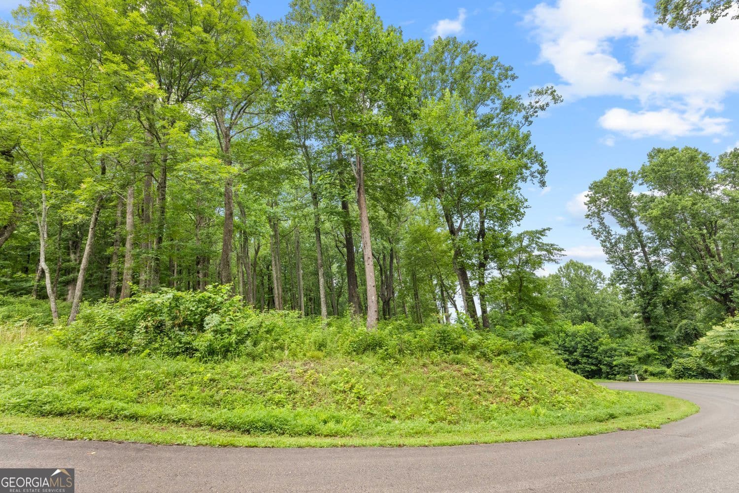 residential lot for sale at LT 296 Andes Ridge, Ellijay, GA 30536 — photo 8
