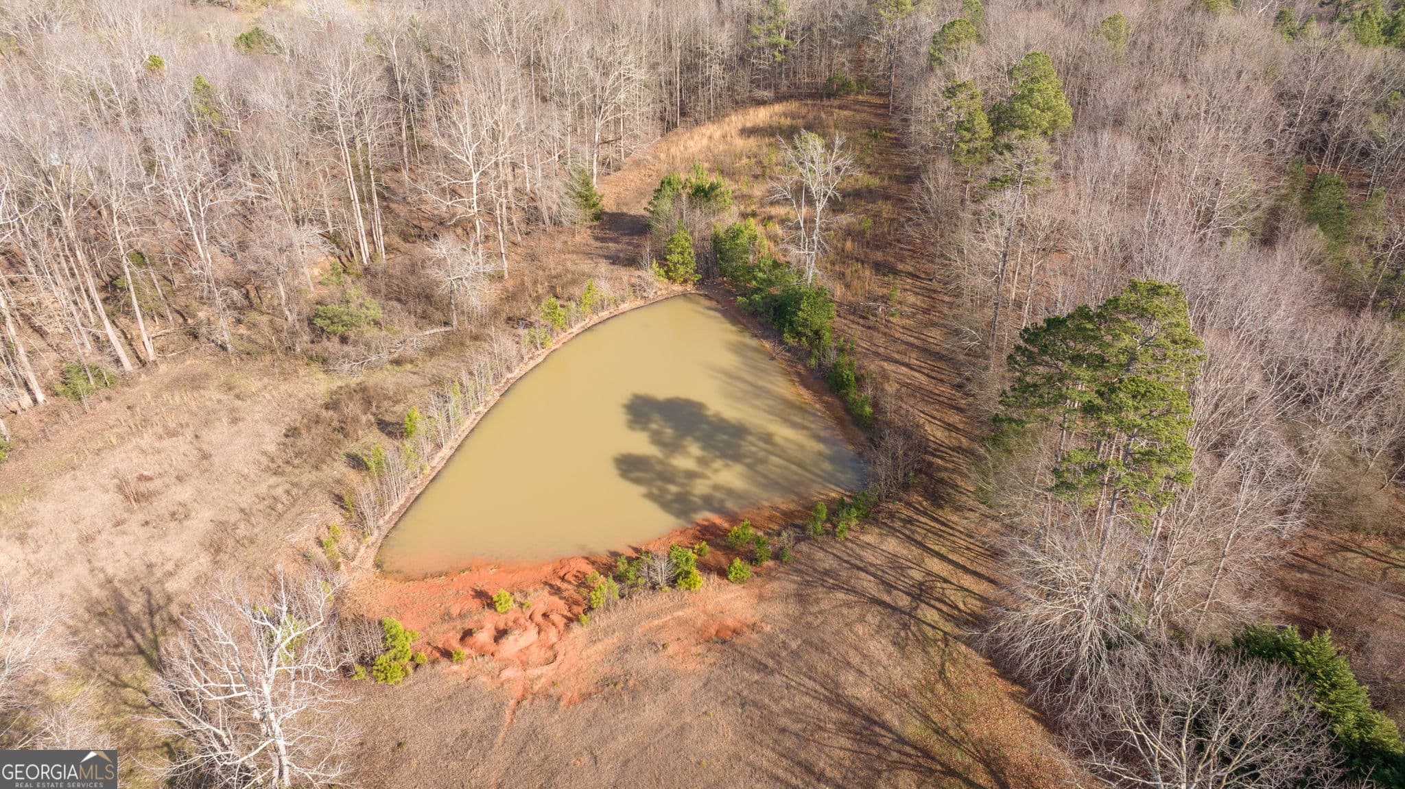 agriculture for sale at 0 G W Wilson & Christian Road, Nicholson, GA 30565 — photo 6