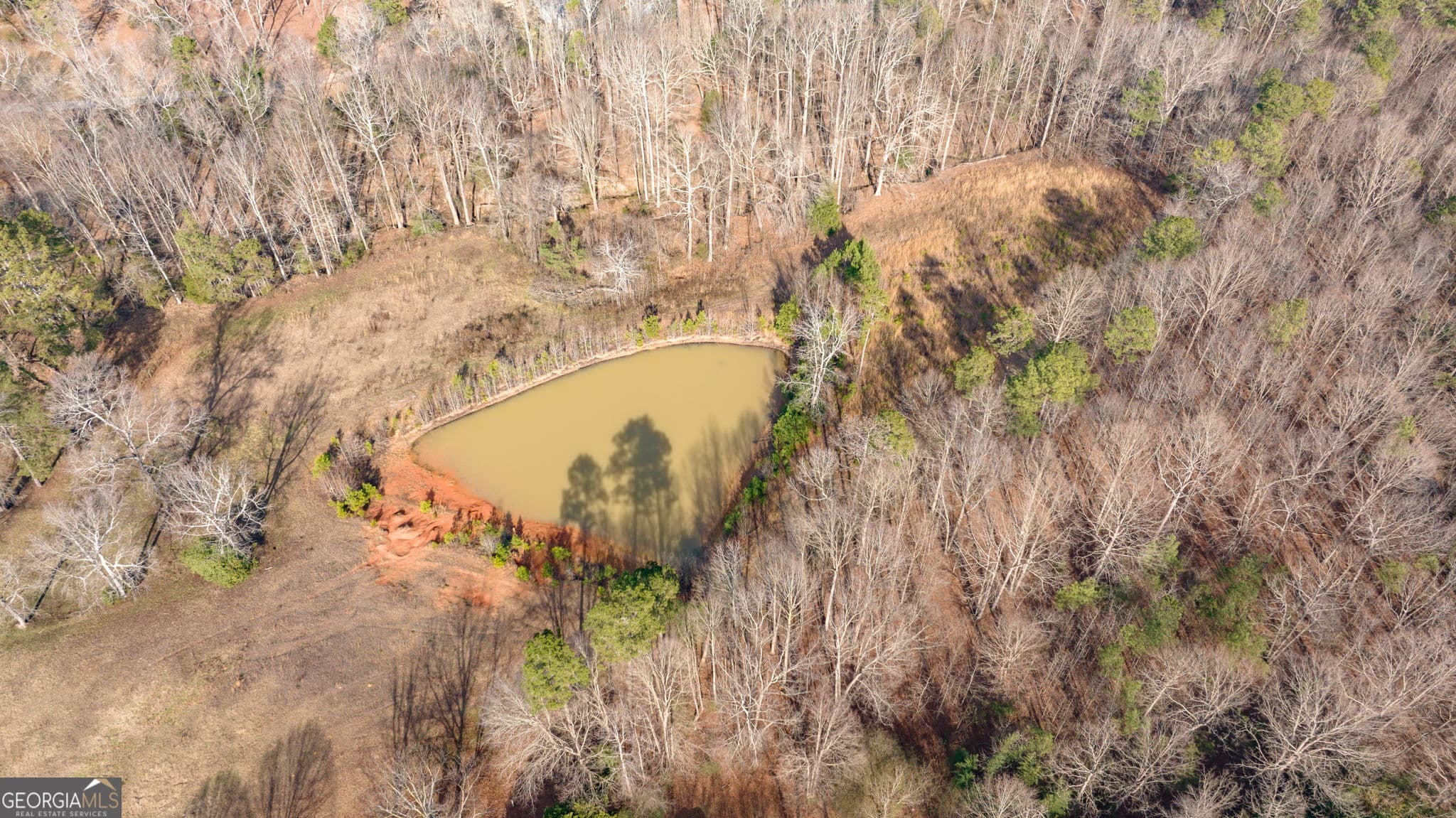 agriculture for sale at 0 G W Wilson & Christian Road, Nicholson, GA 30565 — photo 5
