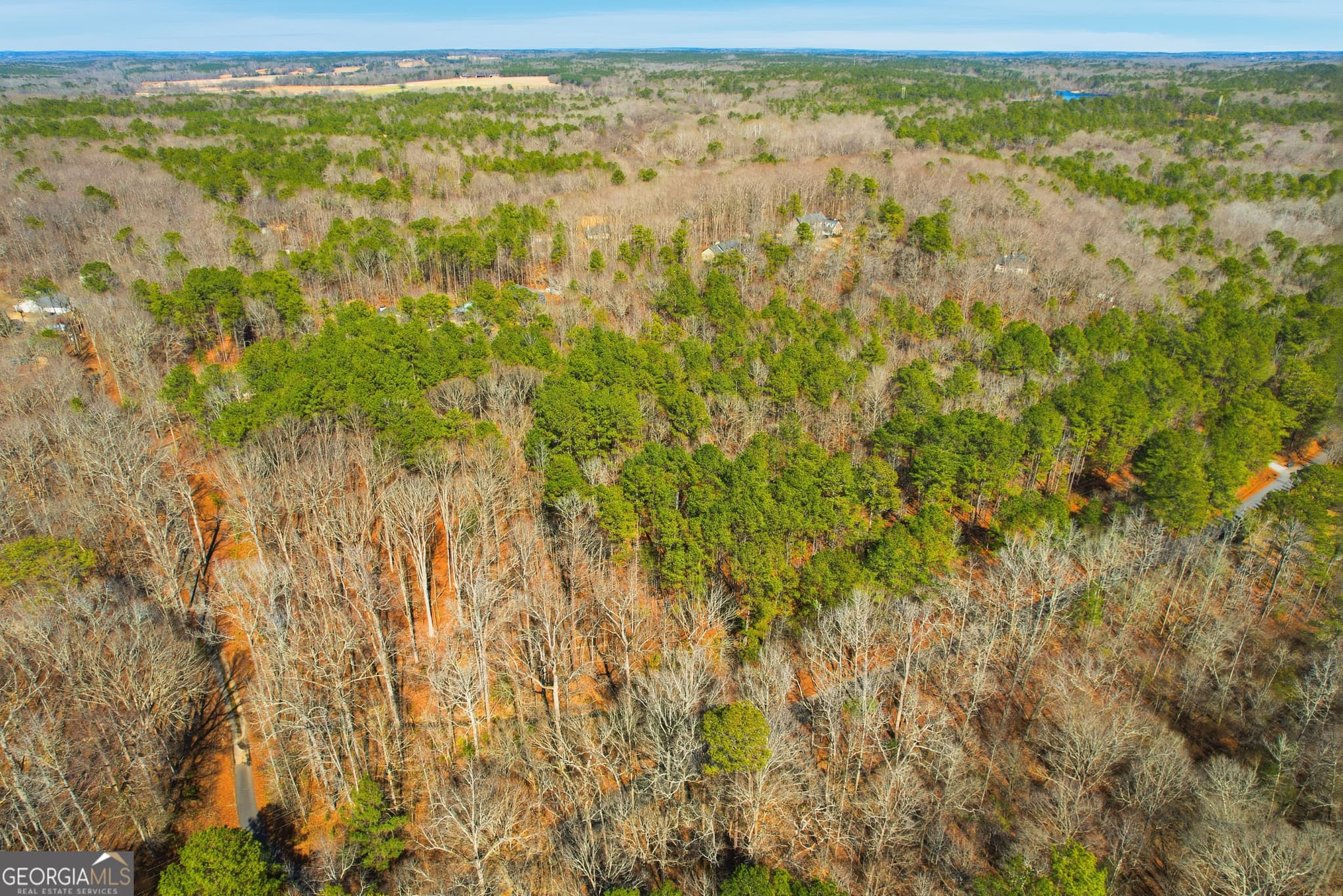 residential lot for sale at 0 Pickett Bridge Road, Covington, GA 30016 — photo 7