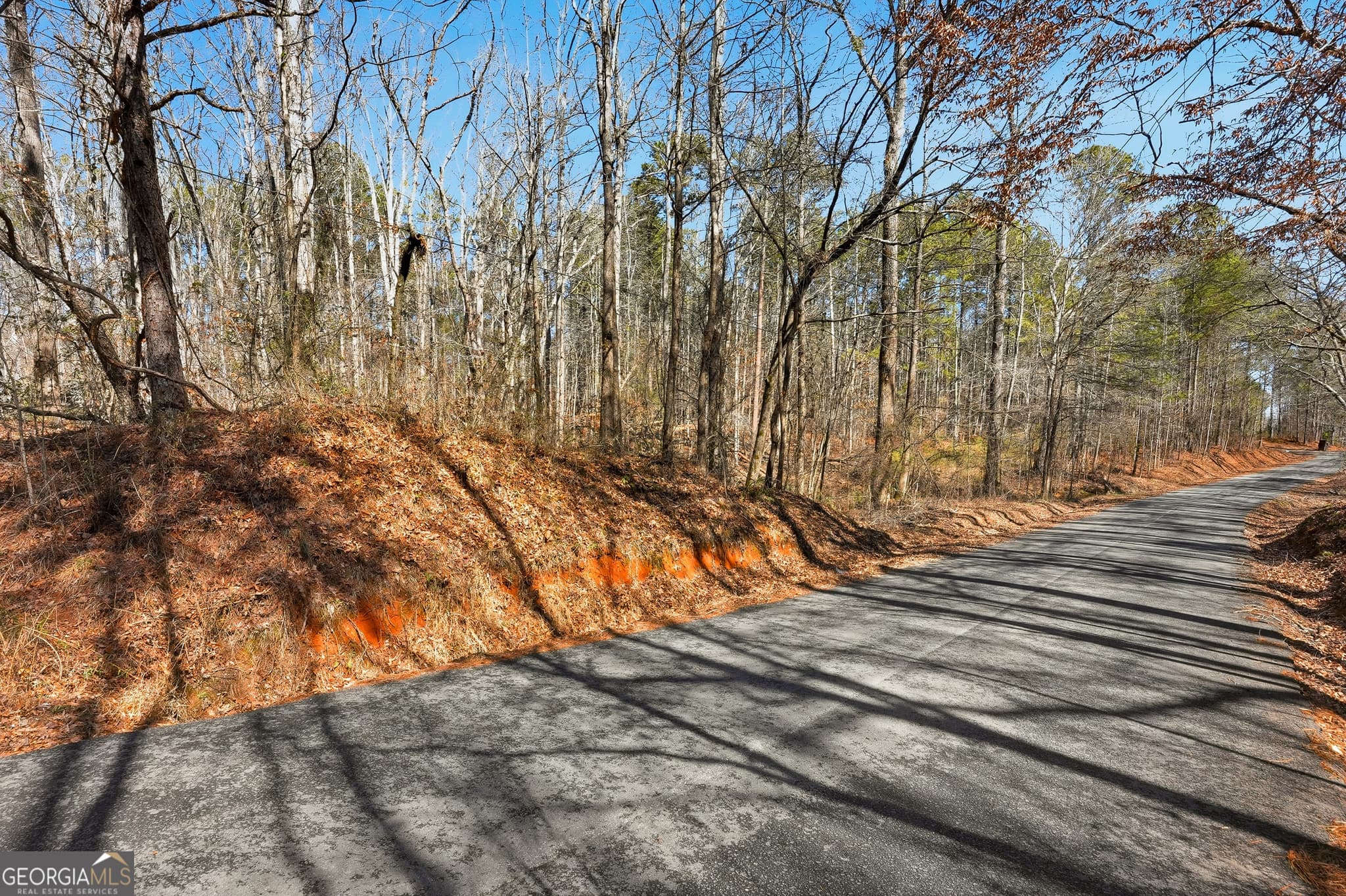 residential lot for sale at 0 Pickett Bridge Road, Covington, GA 30016 — photo 9