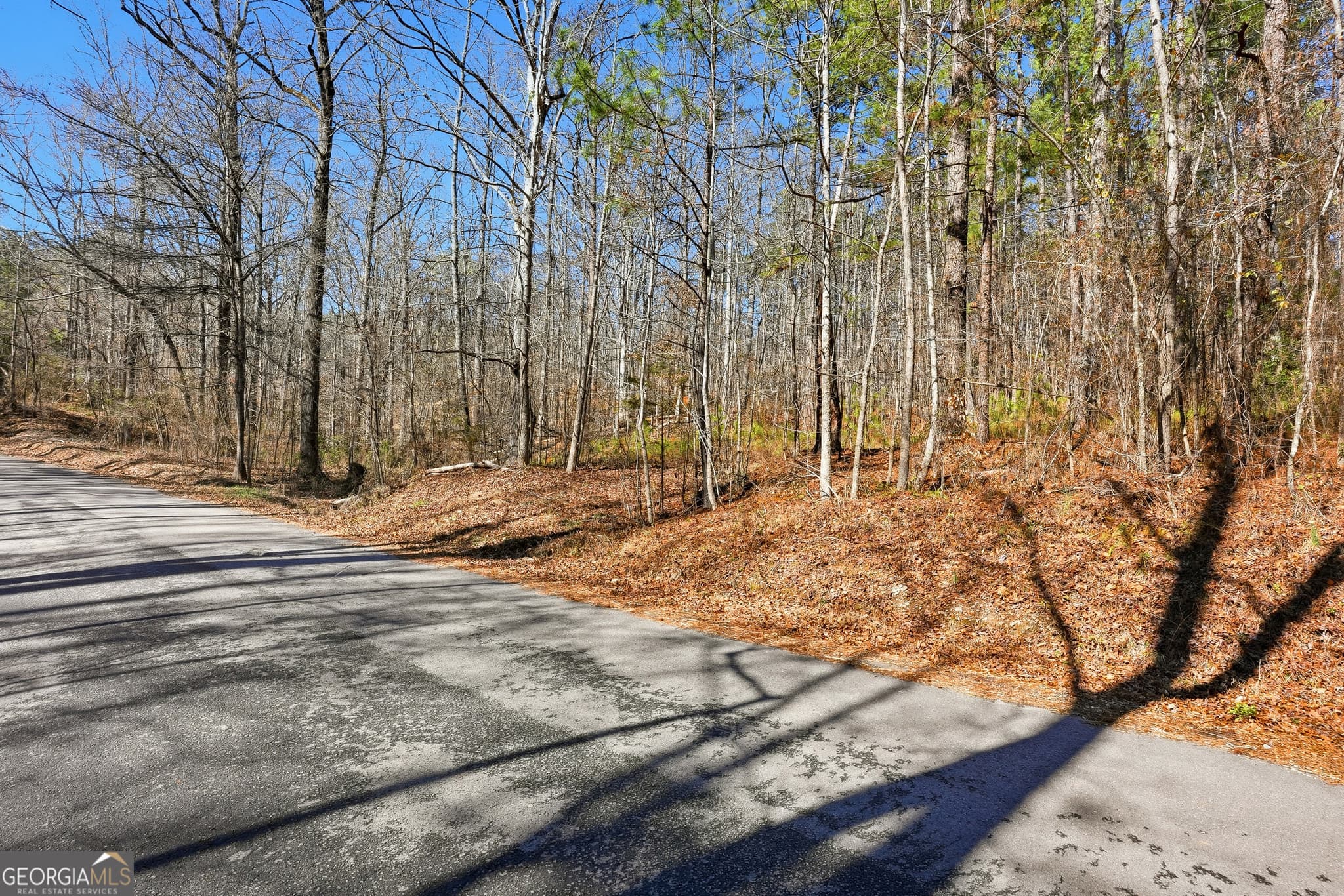 residential lot for sale at 0 Pickett Bridge Road, Covington, GA 30016 — photo 10