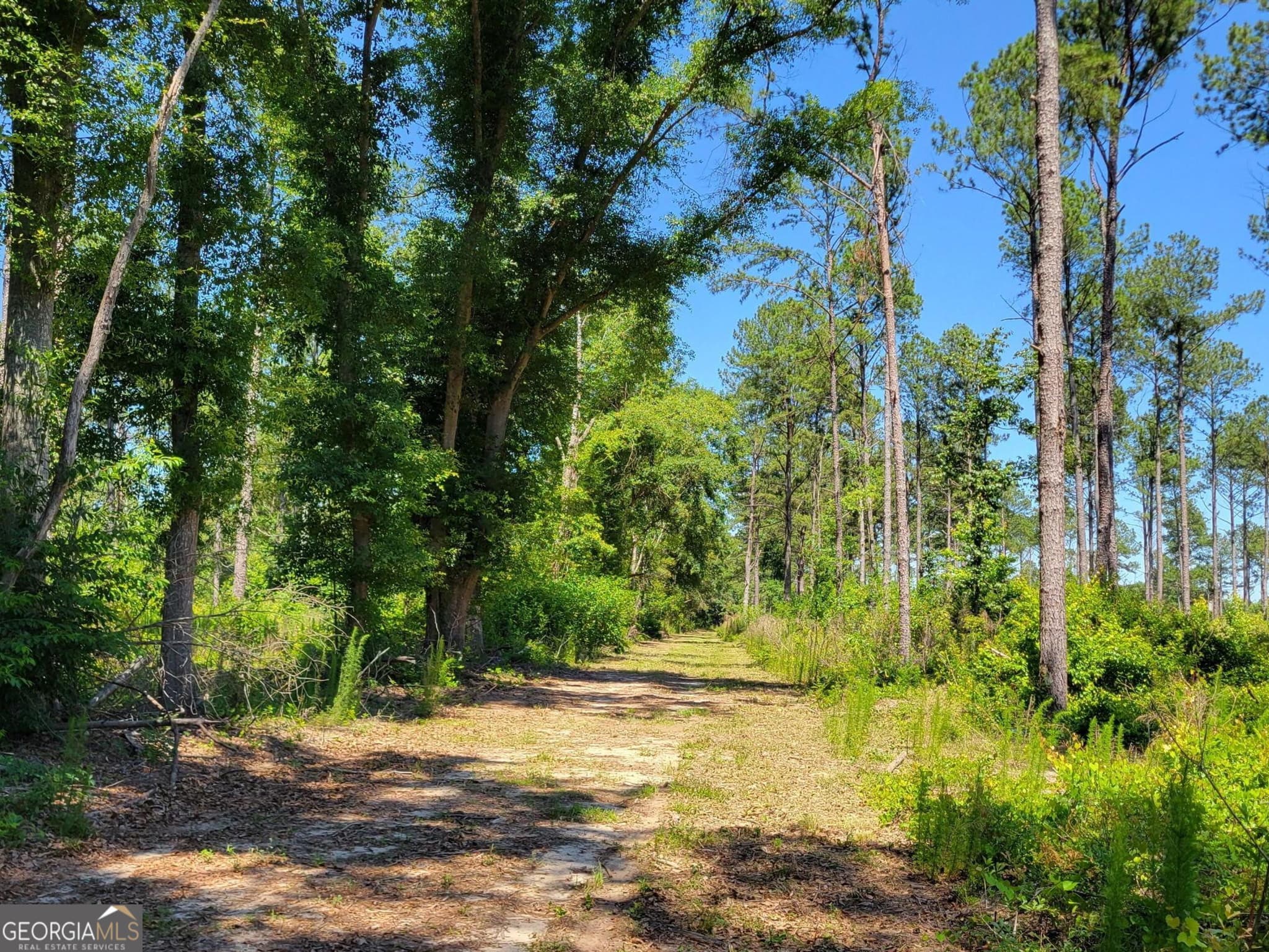 residential lot for sale at 4625 Storey Mill Road, Hephzibah, GA 30815 — photo 5