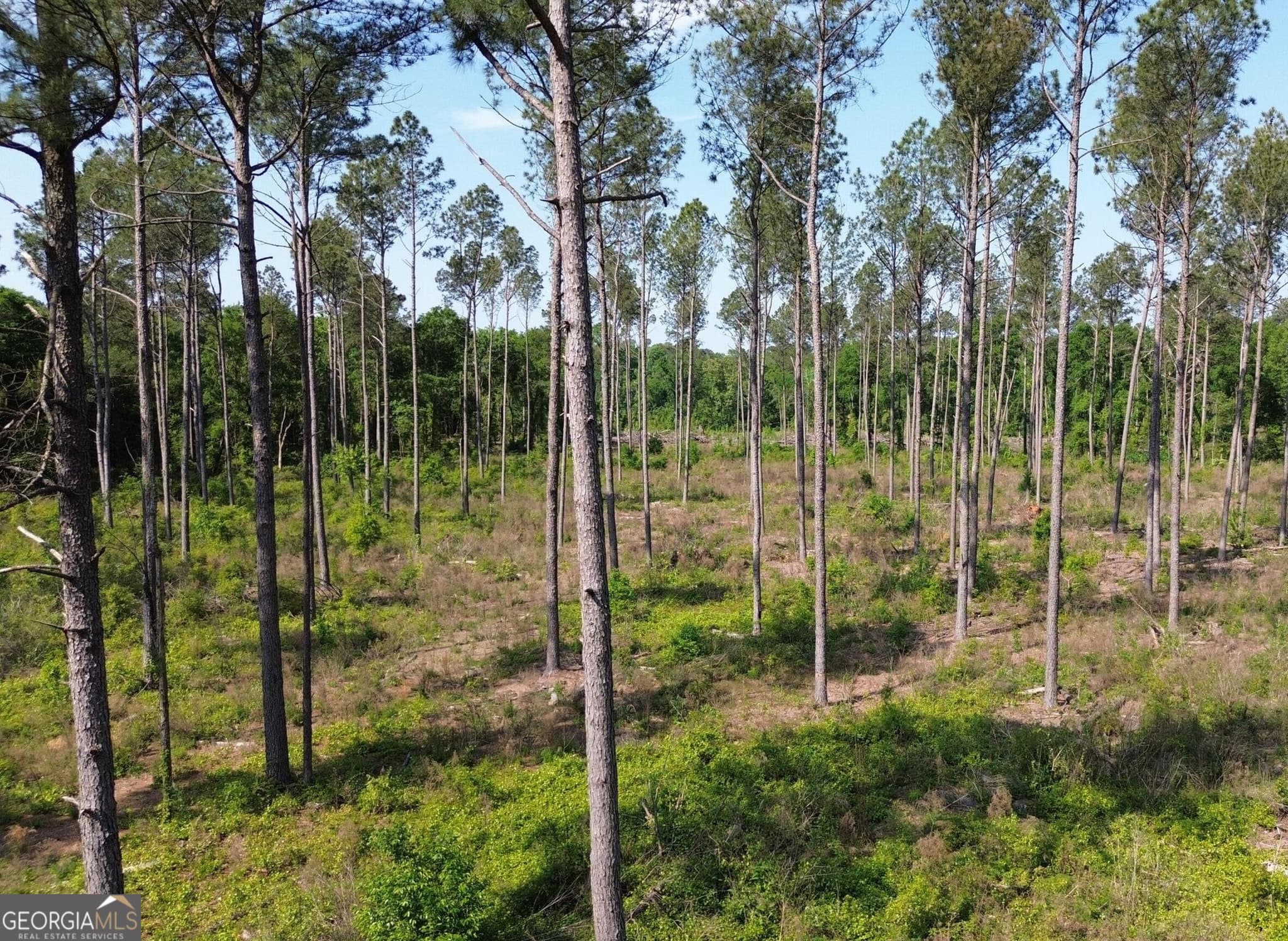 residential lot for sale at 4625 Storey Mill Road, Hephzibah, GA 30815 — photo 9