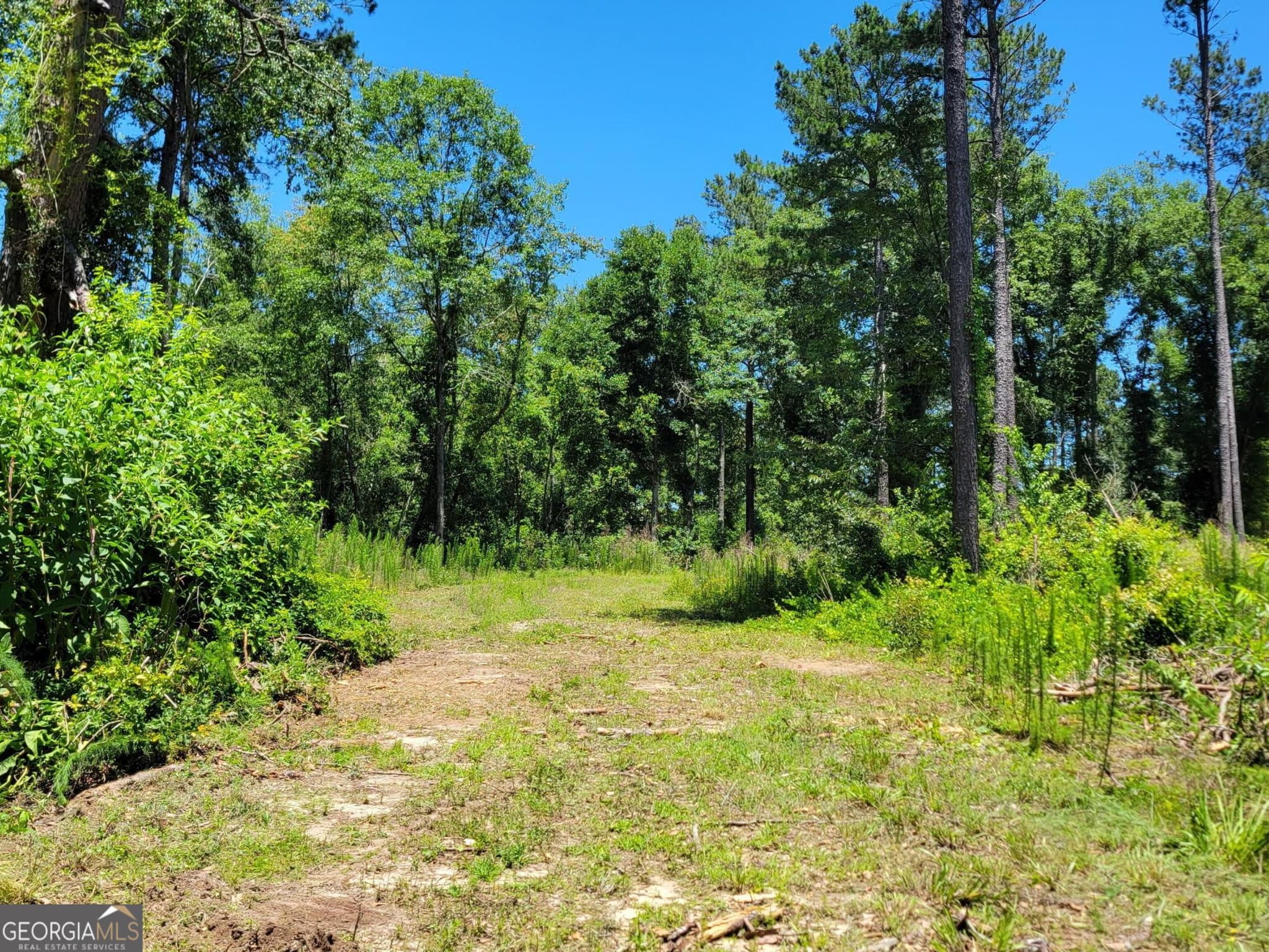 residential lot for sale at 4625 Storey Mill Road, Hephzibah, GA 30815 — photo 10
