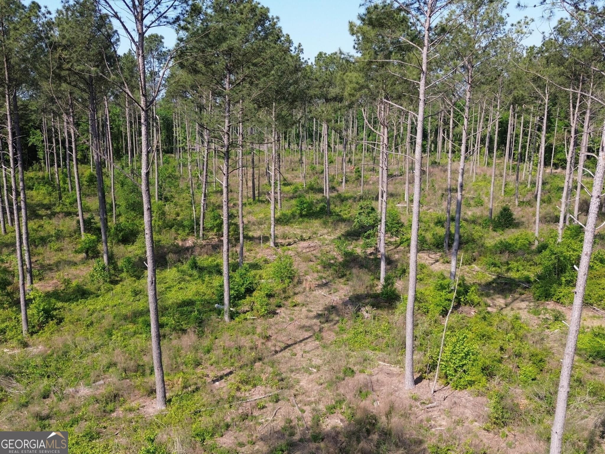 residential lot for sale at 4625 Storey Mill Road, Hephzibah, GA 30815 — photo 8