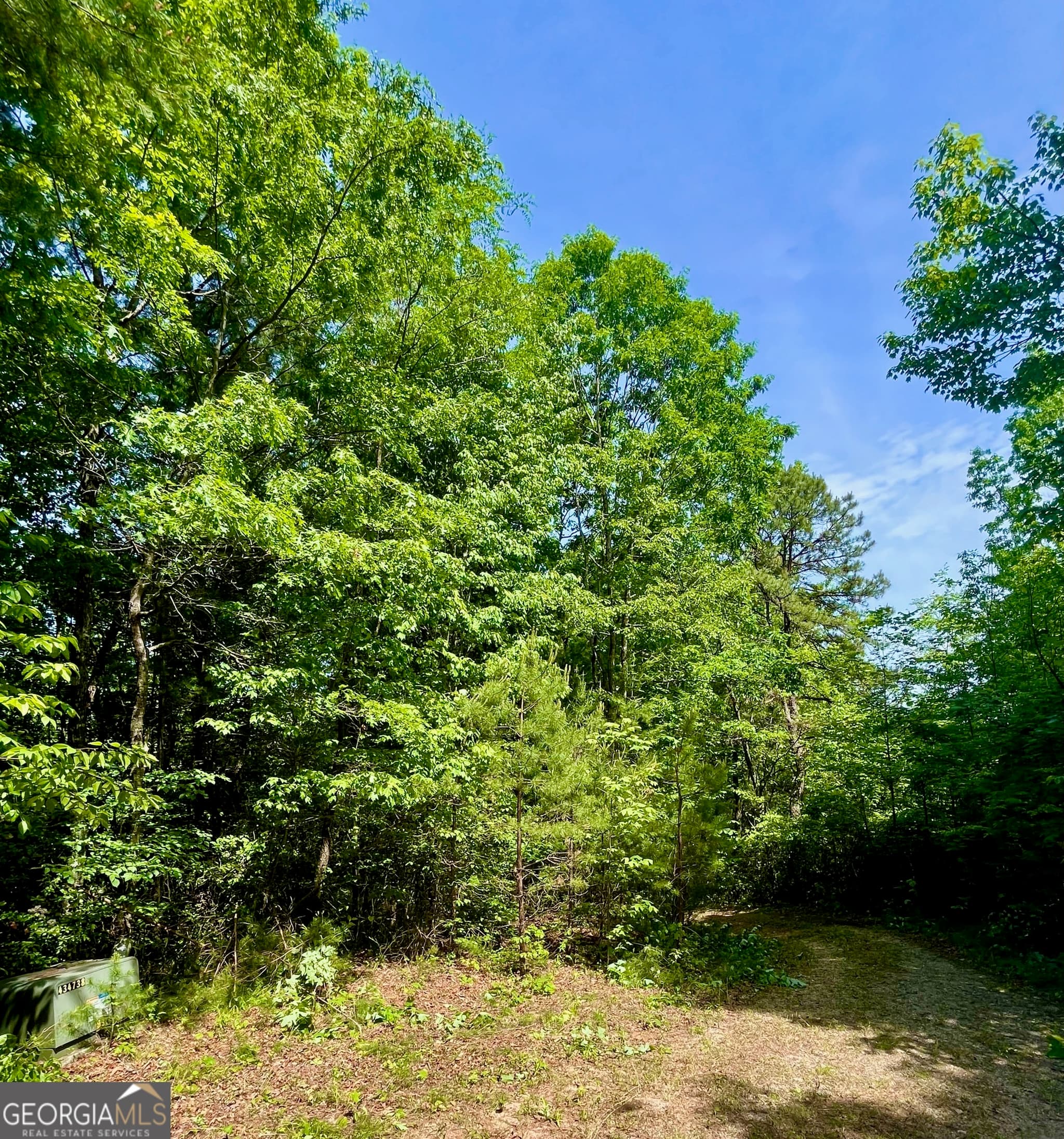 agriculture under contract at 0 Bluff Mtn, Dillard, GA 30537 — photo 2