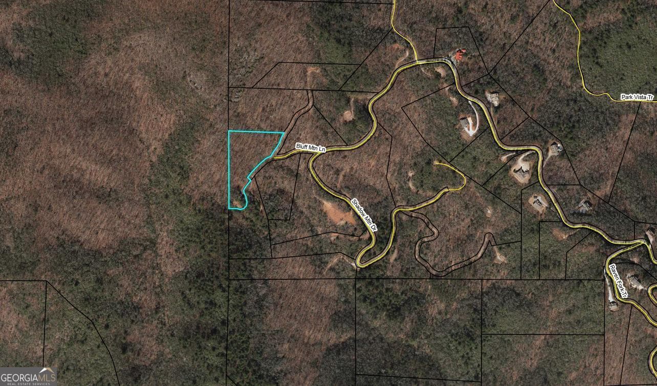 agriculture under contract at 0 Bluff Mtn, Dillard, GA 30537 — photo 3