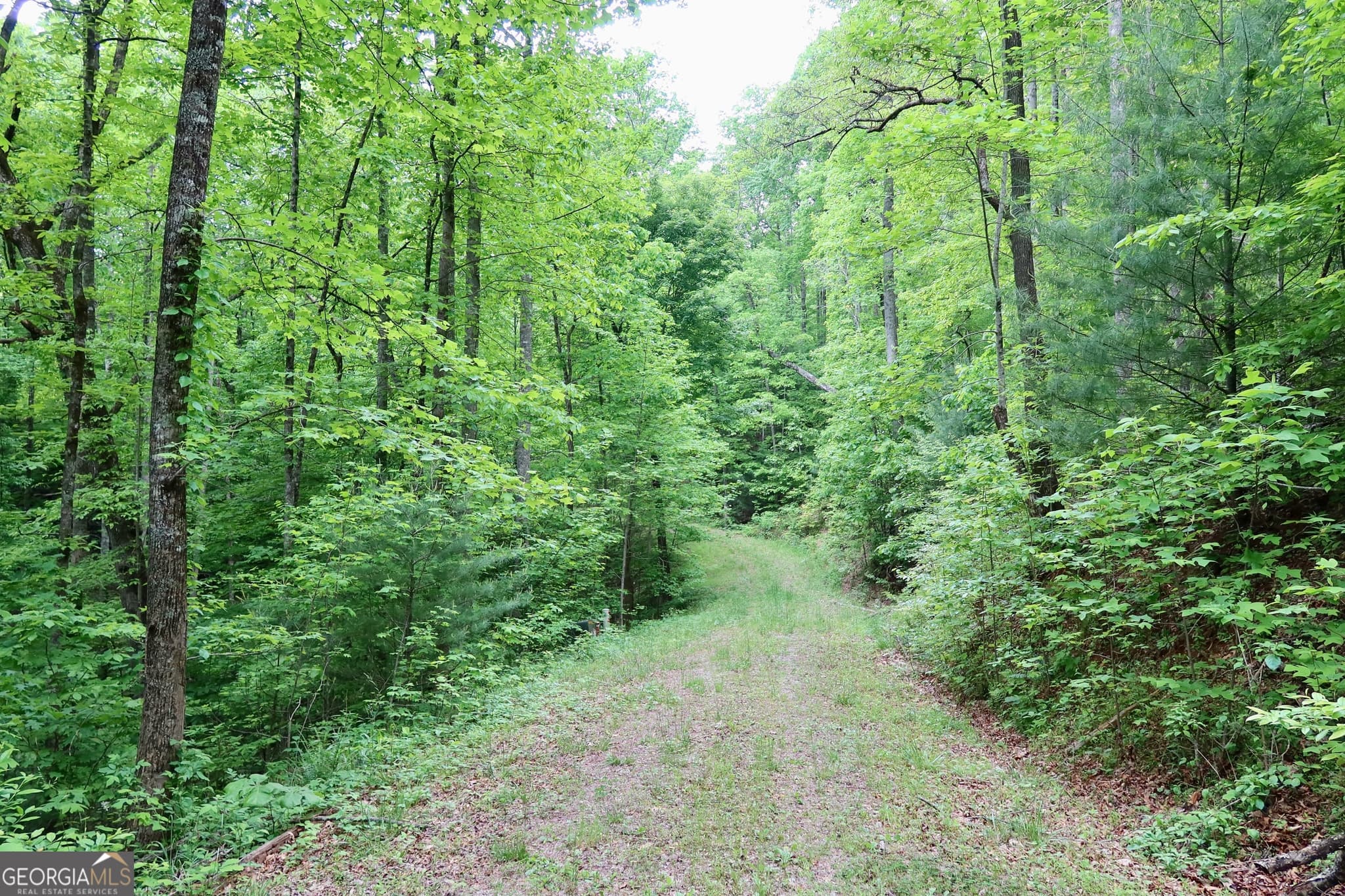 agriculture under contract at 0 Bluff Mtn, Dillard, GA 30537