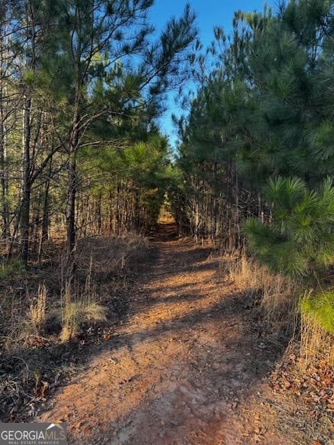 residential lot for sale at 28.59 ACRES in Henry County, Jackson, GA 30233 — photo 2