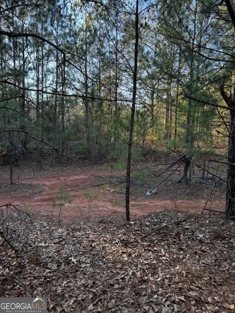 residential lot for sale at 28.59 ACRES in Henry County, Jackson, GA 30233 — photo 3