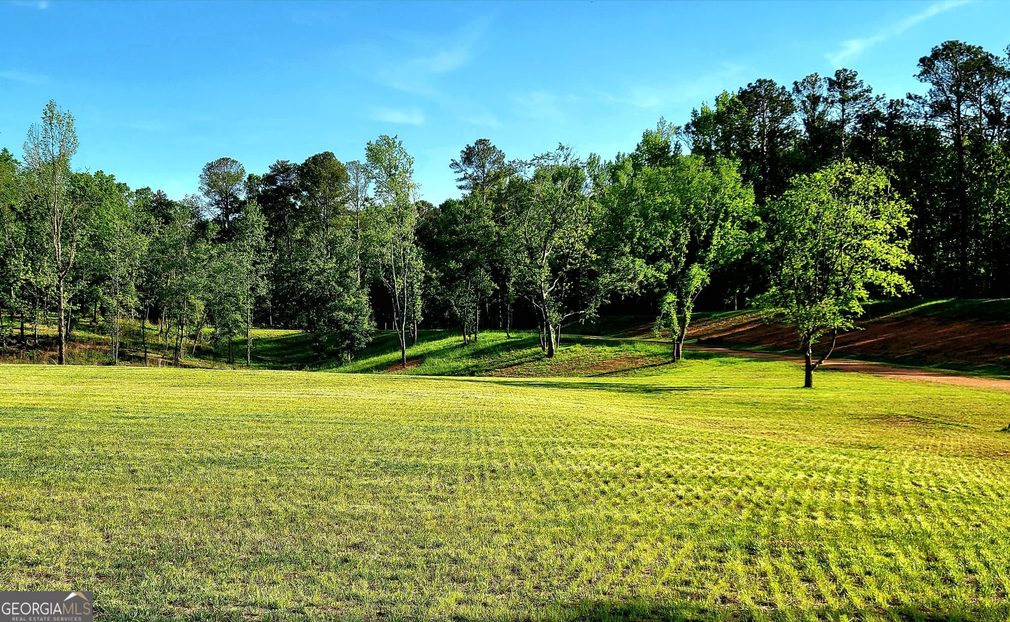 agriculture for sale at 80 Mundy Road, Rydal, GA 30171 — photo 2
