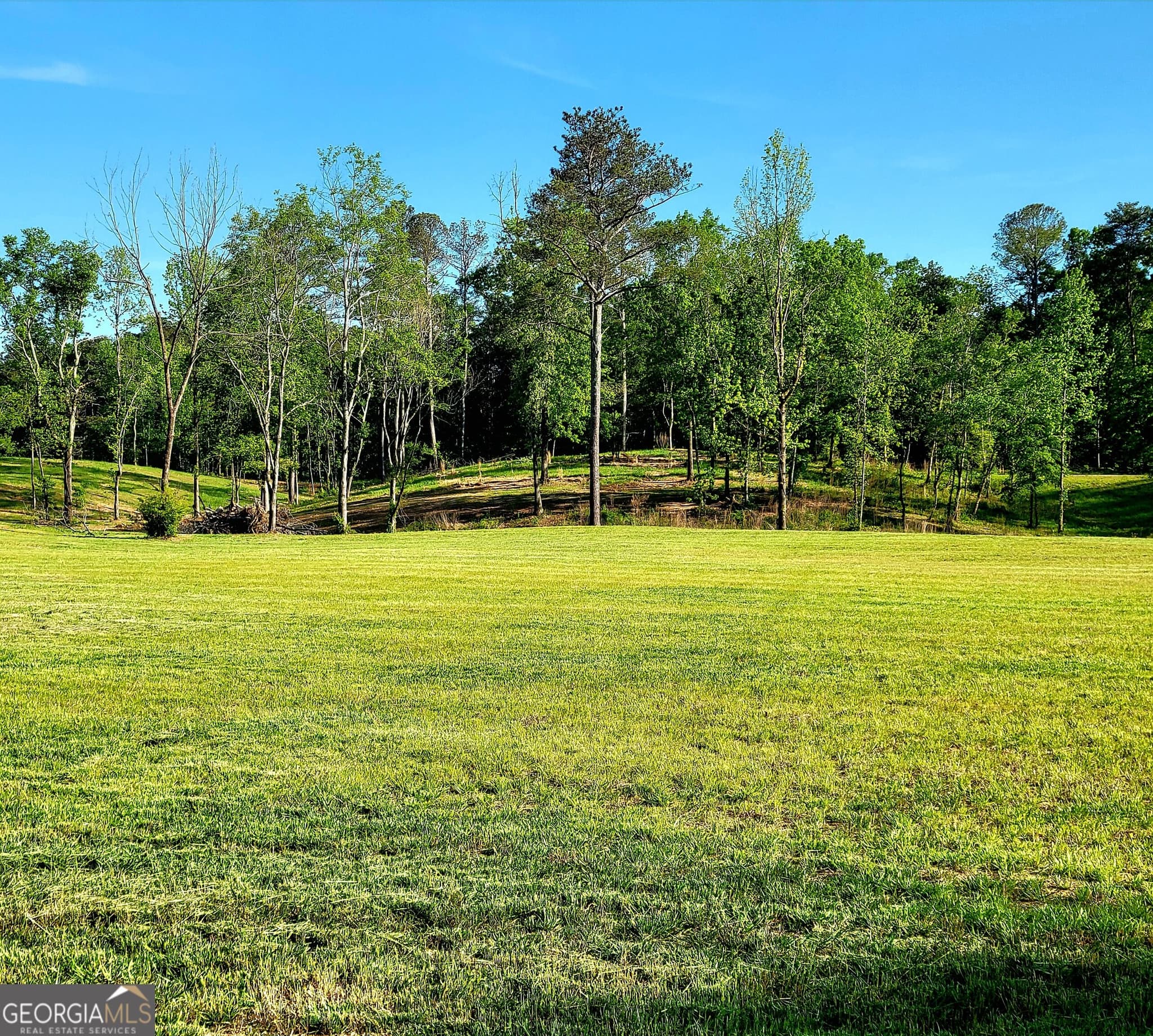 agriculture for sale at 80 Mundy Road, Rydal, GA 30171 — photo 3