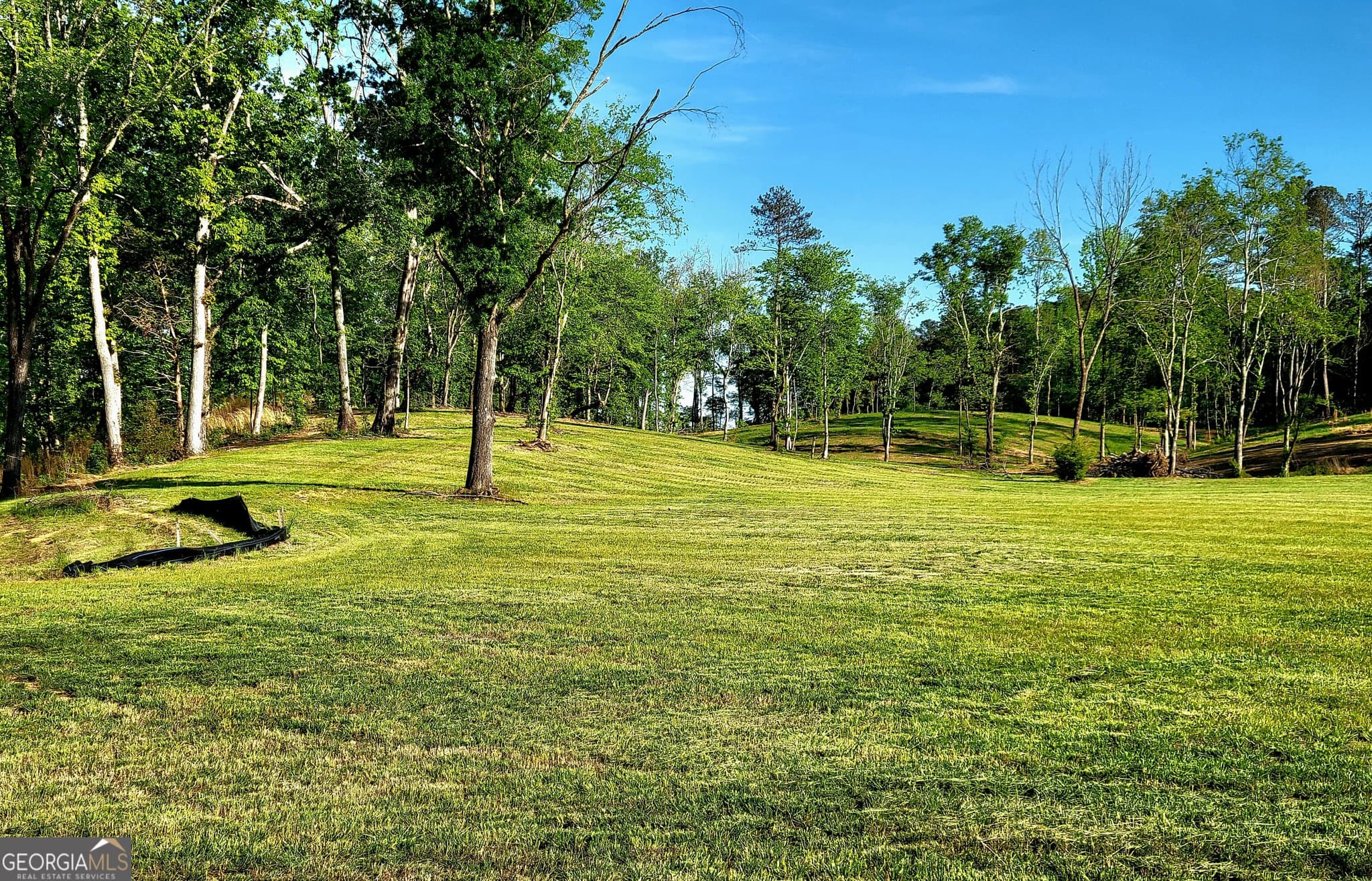 agriculture for sale at 80 Mundy Road, Rydal, GA 30171