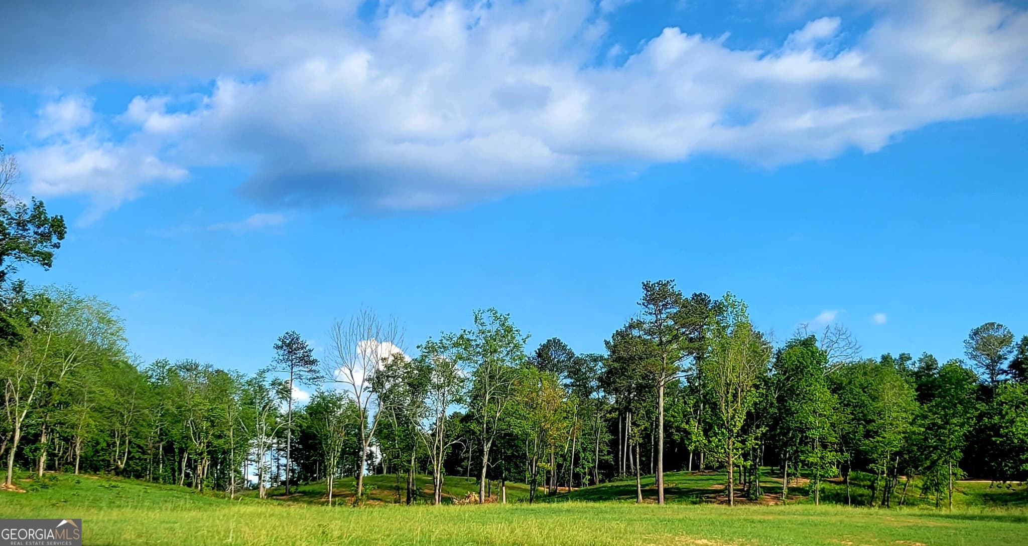 agriculture for sale at 80 Mundy Road, Rydal, GA 30171 — photo 5