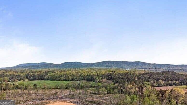 agriculture for sale at 80 Mundy Road, Rydal, GA 30171 — photo 4