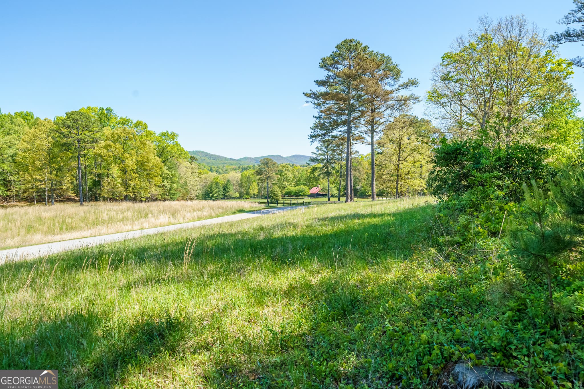 residential lot for sale at LOT 3 Spring Camp Road, Ellijay, GA 30536 — photo 3
