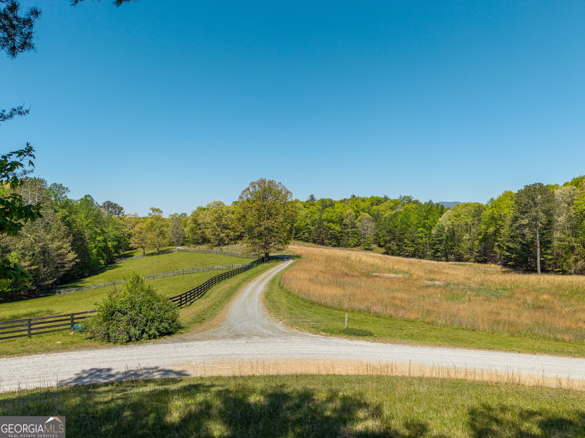 residential lot for sale at LOT 3 Spring Camp Road, Ellijay, GA 30536 — photo 10