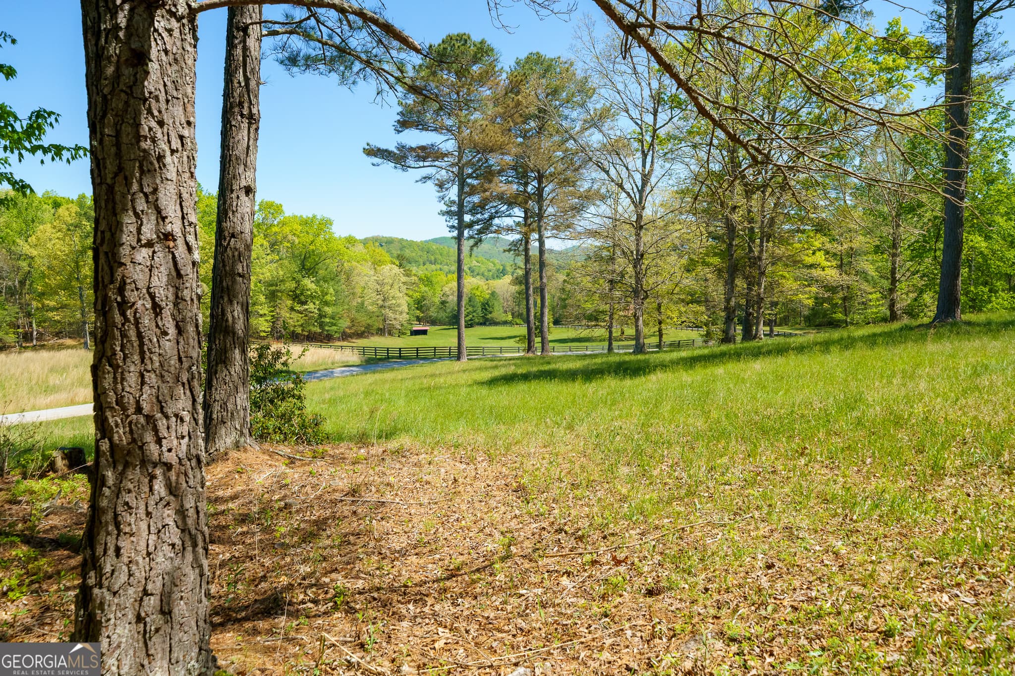 residential lot for sale at LOT 3 Spring Camp Road, Ellijay, GA 30536 — photo 4