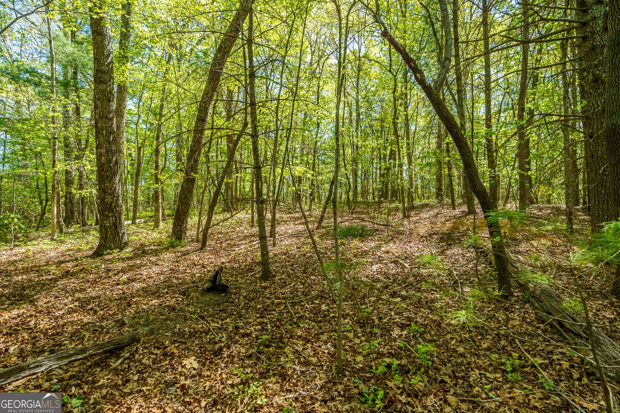 residential lot for sale at LOT 3 Spring Camp Road, Ellijay, GA 30536 — photo 8