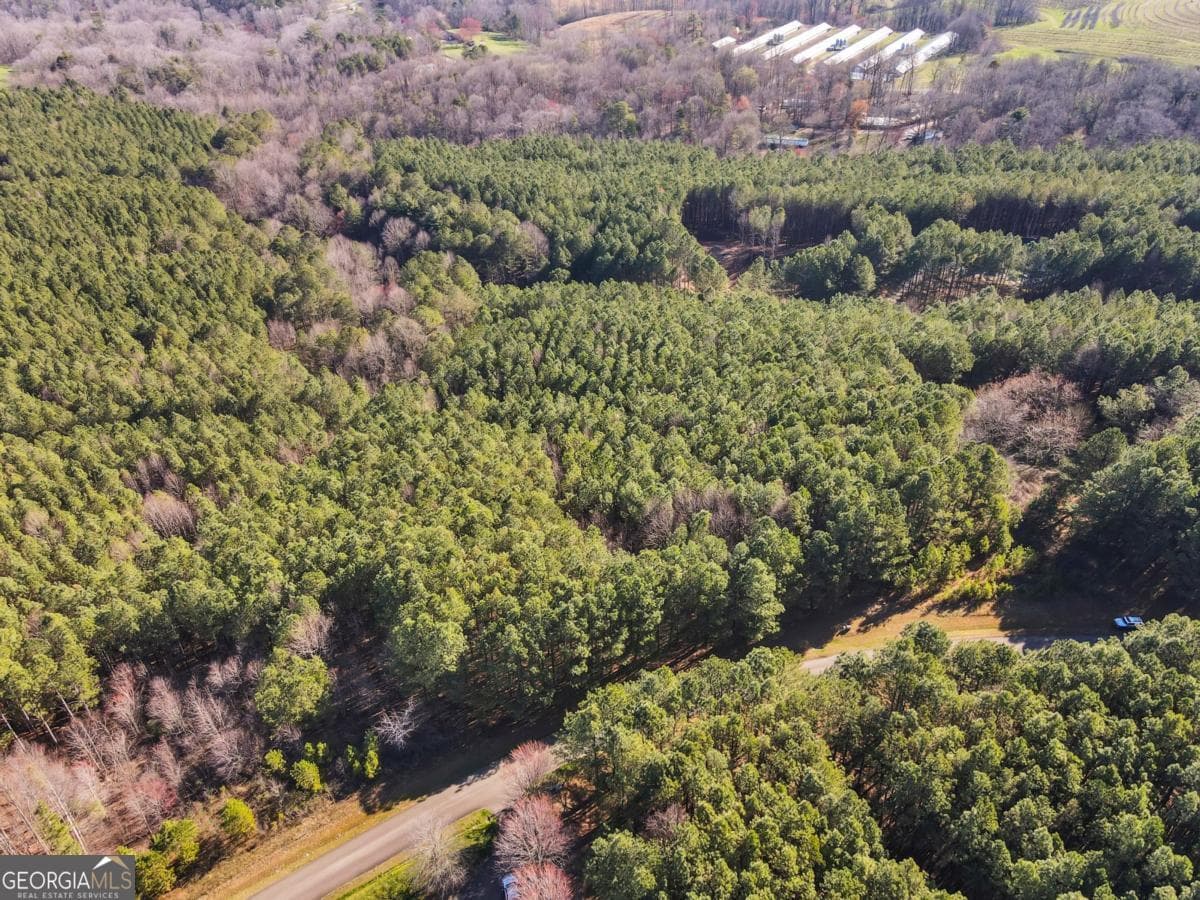 estate lot for sale at 0 Foxpaw Leaf Lane LOT 20, Ellijay, GA 30536 — photo 2