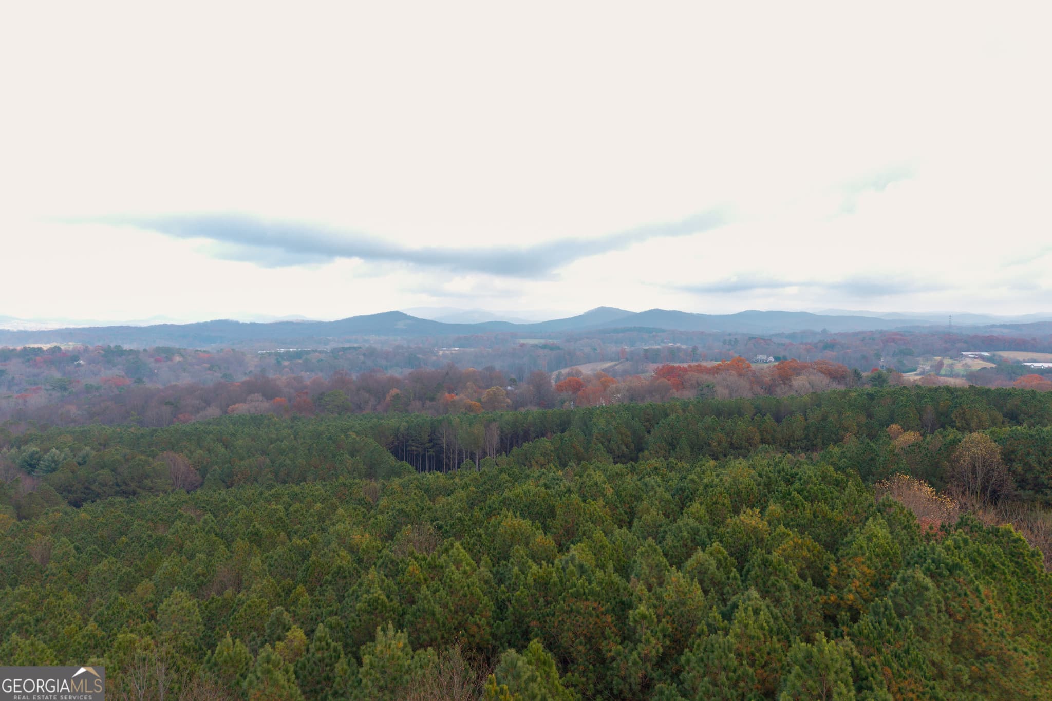 estate lot for sale at 0 Foxpaw Leaf Lane LOT 20, Ellijay, GA 30536 — photo 6
