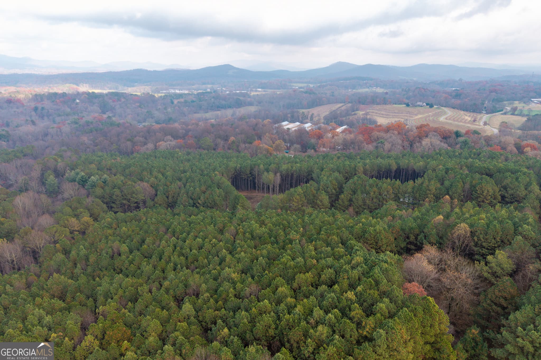 estate lot for sale at 0 Foxpaw Leaf Lane LOT 20, Ellijay, GA 30536 — photo 7