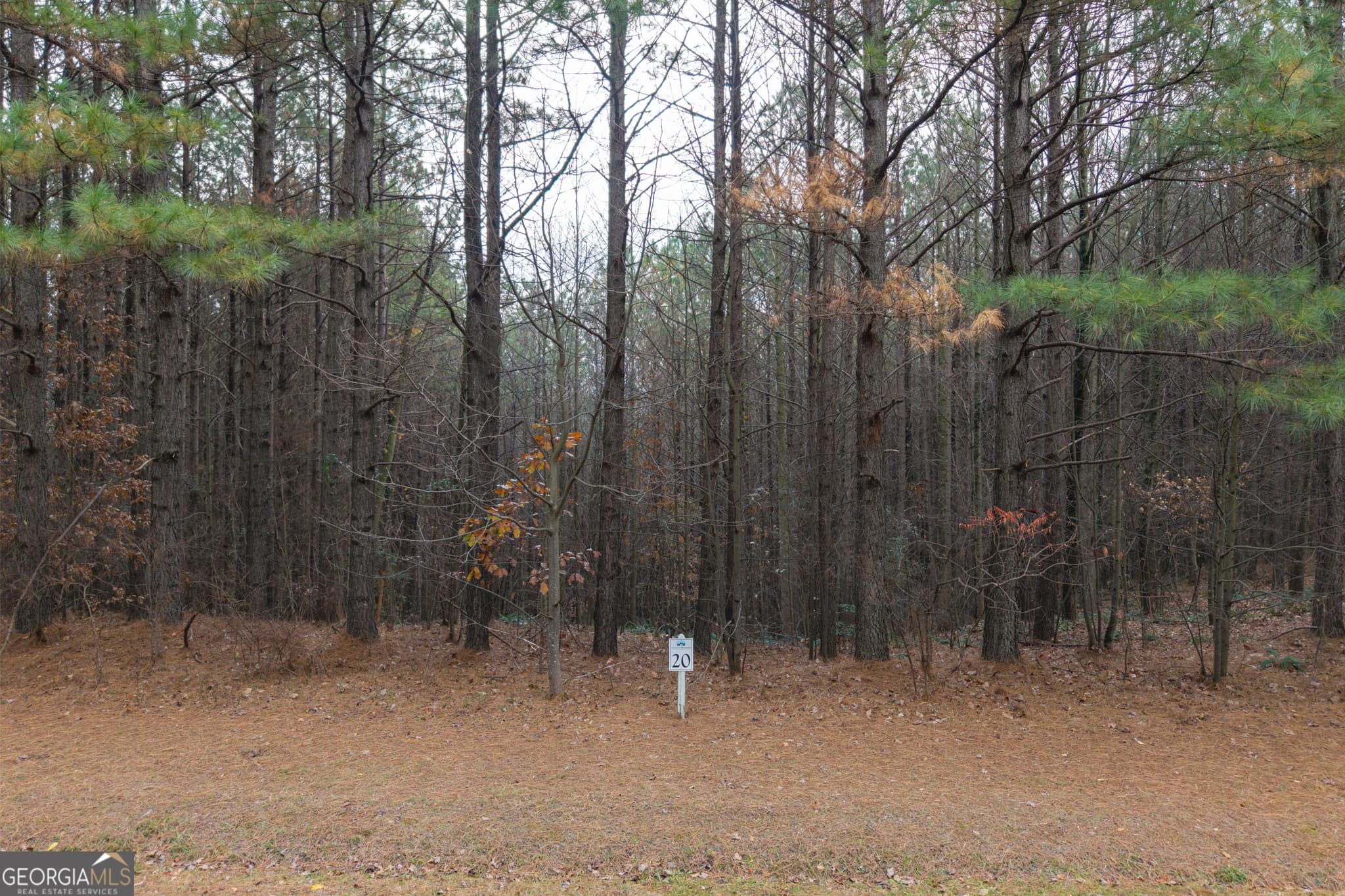 estate lot for sale at 0 Foxpaw Leaf Lane LOT 20, Ellijay, GA 30536 — photo 5