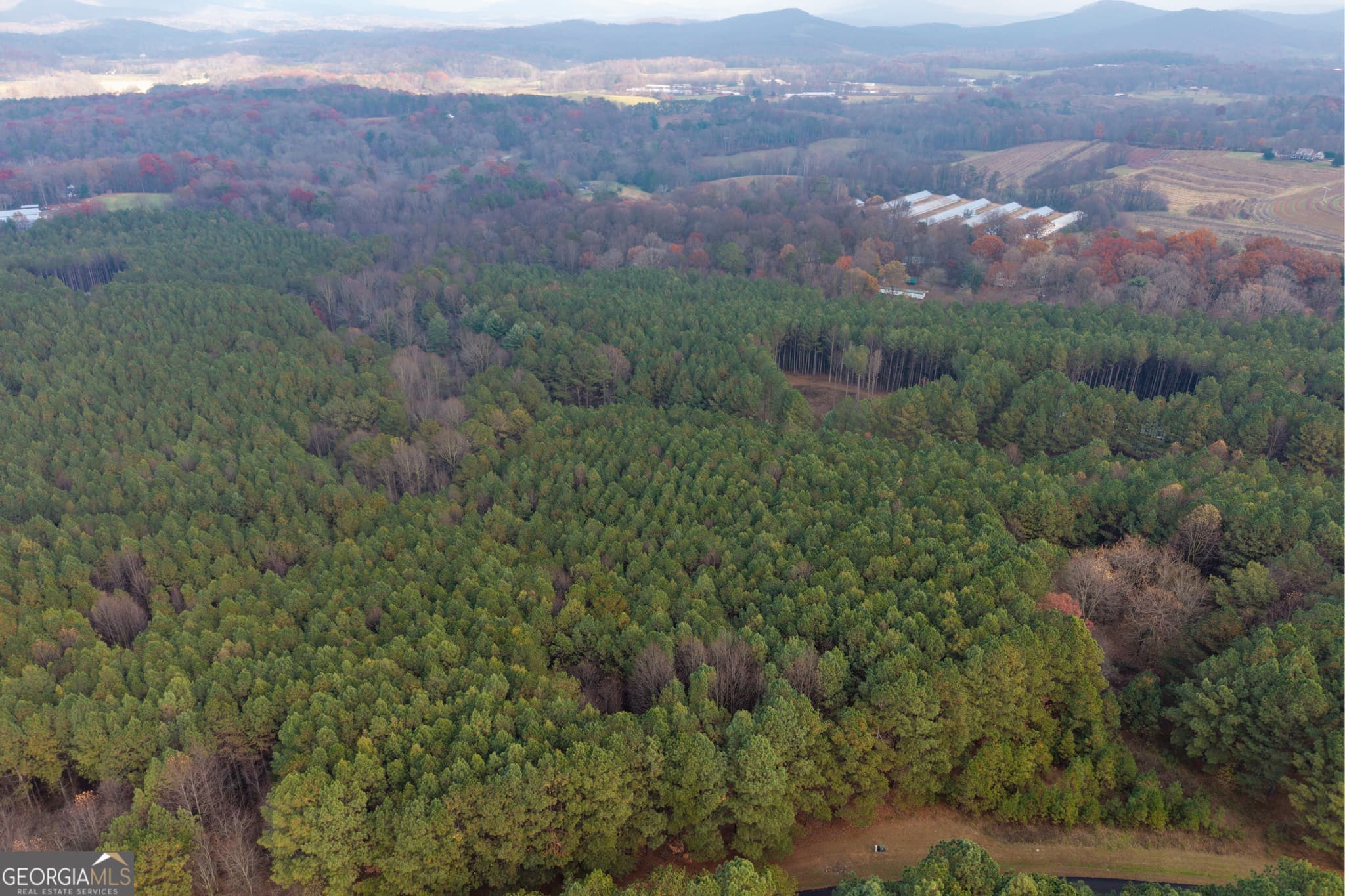 estate lot for sale at 0 Foxpaw Leaf Lane LOT 20, Ellijay, GA 30536 — photo 9