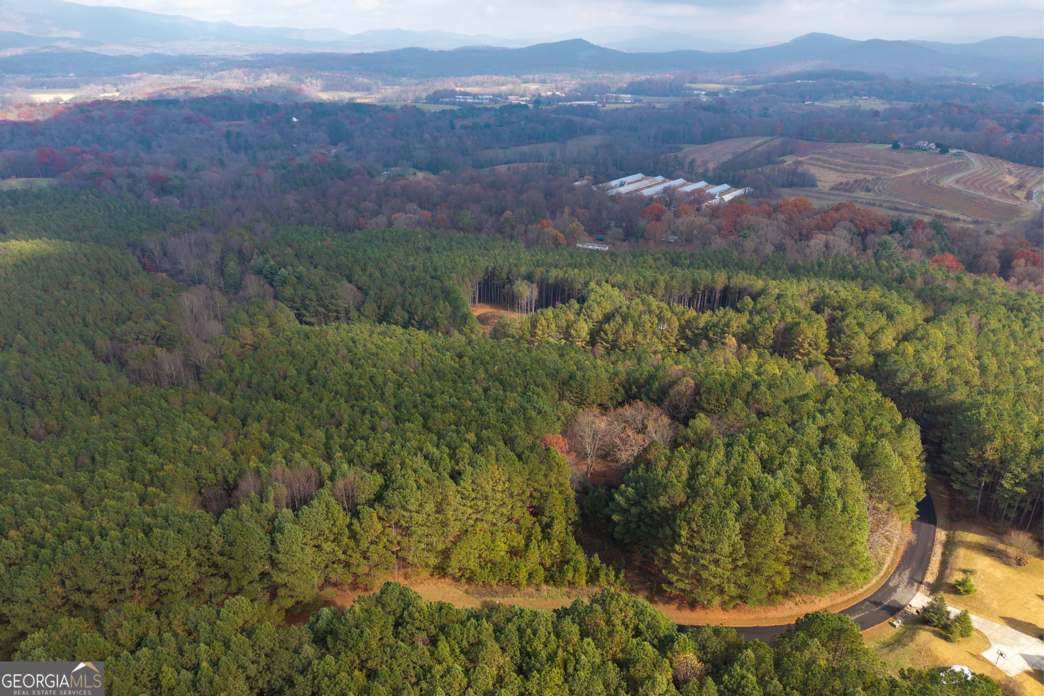 estate lot for sale at 0 Foxpaw Leaf Lane LOT 20, Ellijay, GA 30536 — photo 10