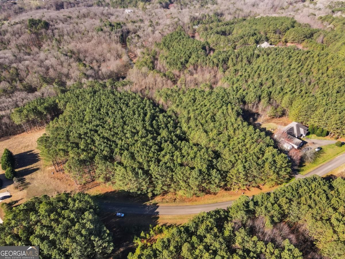 estate lot for sale at 0 Foxpaw Leaf Lane LOT 20, Ellijay, GA 30536 — photo 4