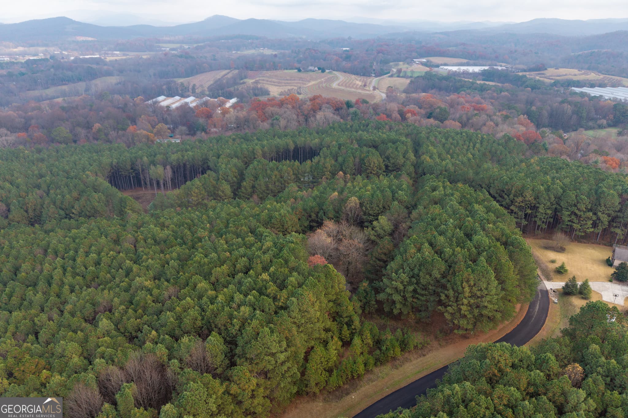 estate lot for sale at 0 Foxpaw Leaf Lane LOT 20, Ellijay, GA 30536 — photo 8