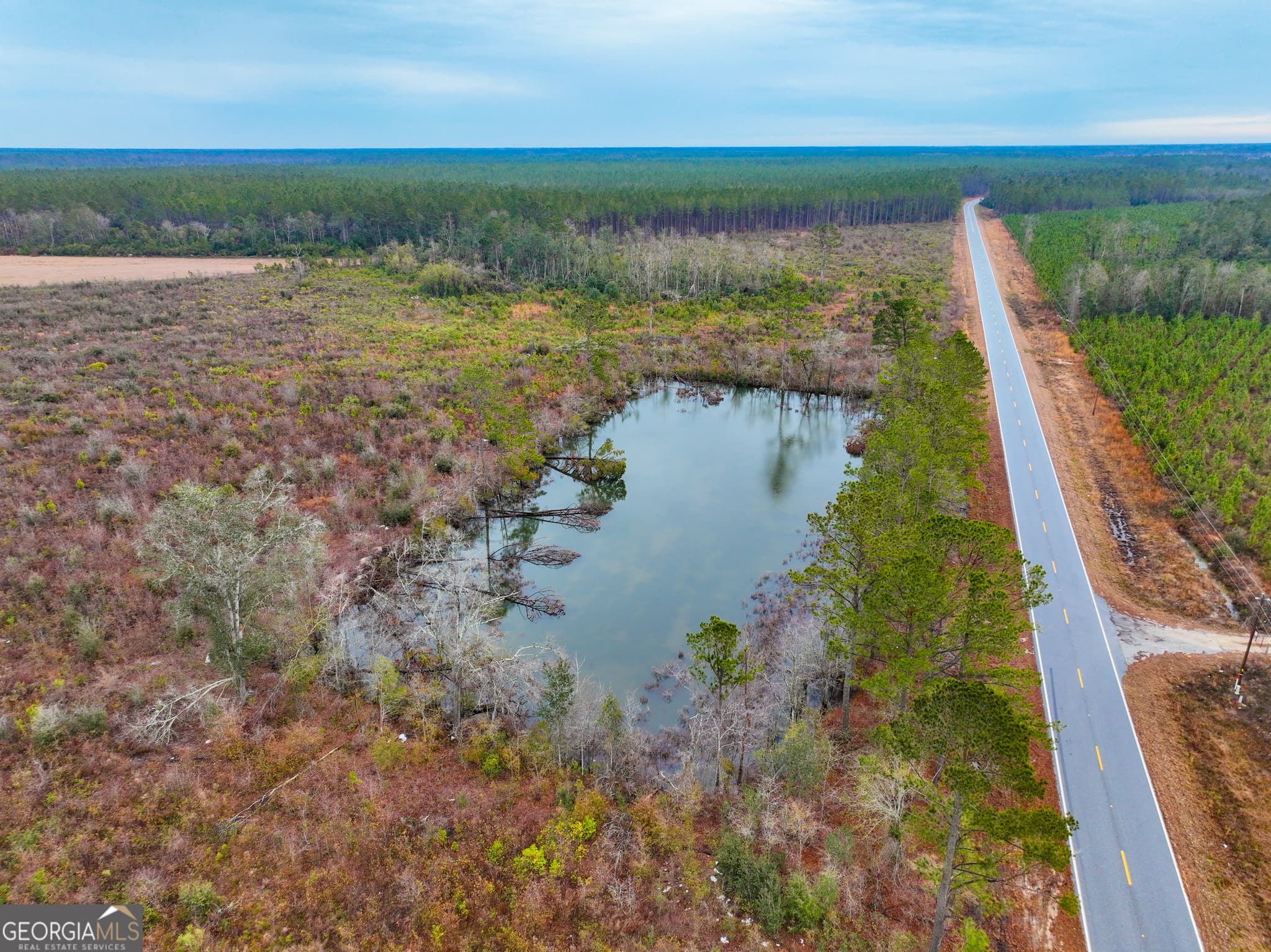 agriculture sold at 0 Springhead Church Road LOT#WP001, Willacoochee, GA 31650