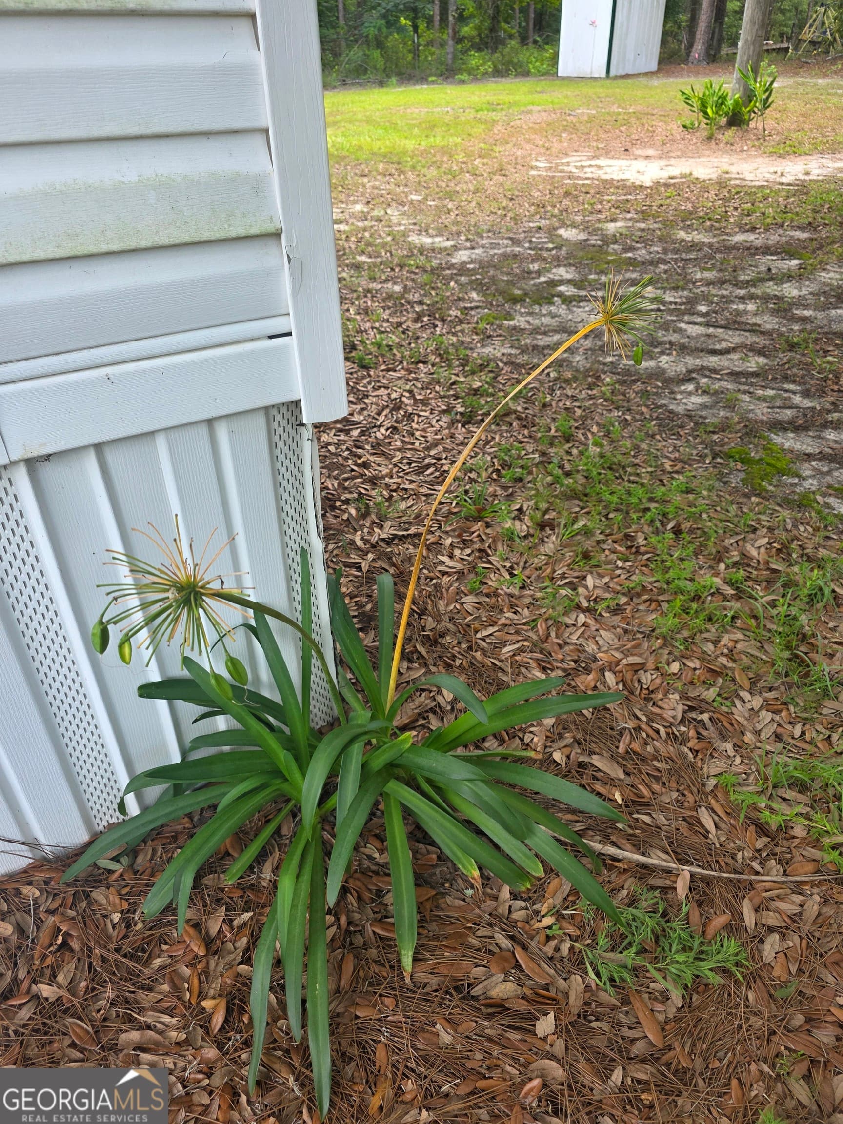 3 bedroom, 2 bathroom, 1,248 sq ft manufactured home,single family residence for sale at 21 White Acre Lane, Baxley, GA 31513 — photo 8