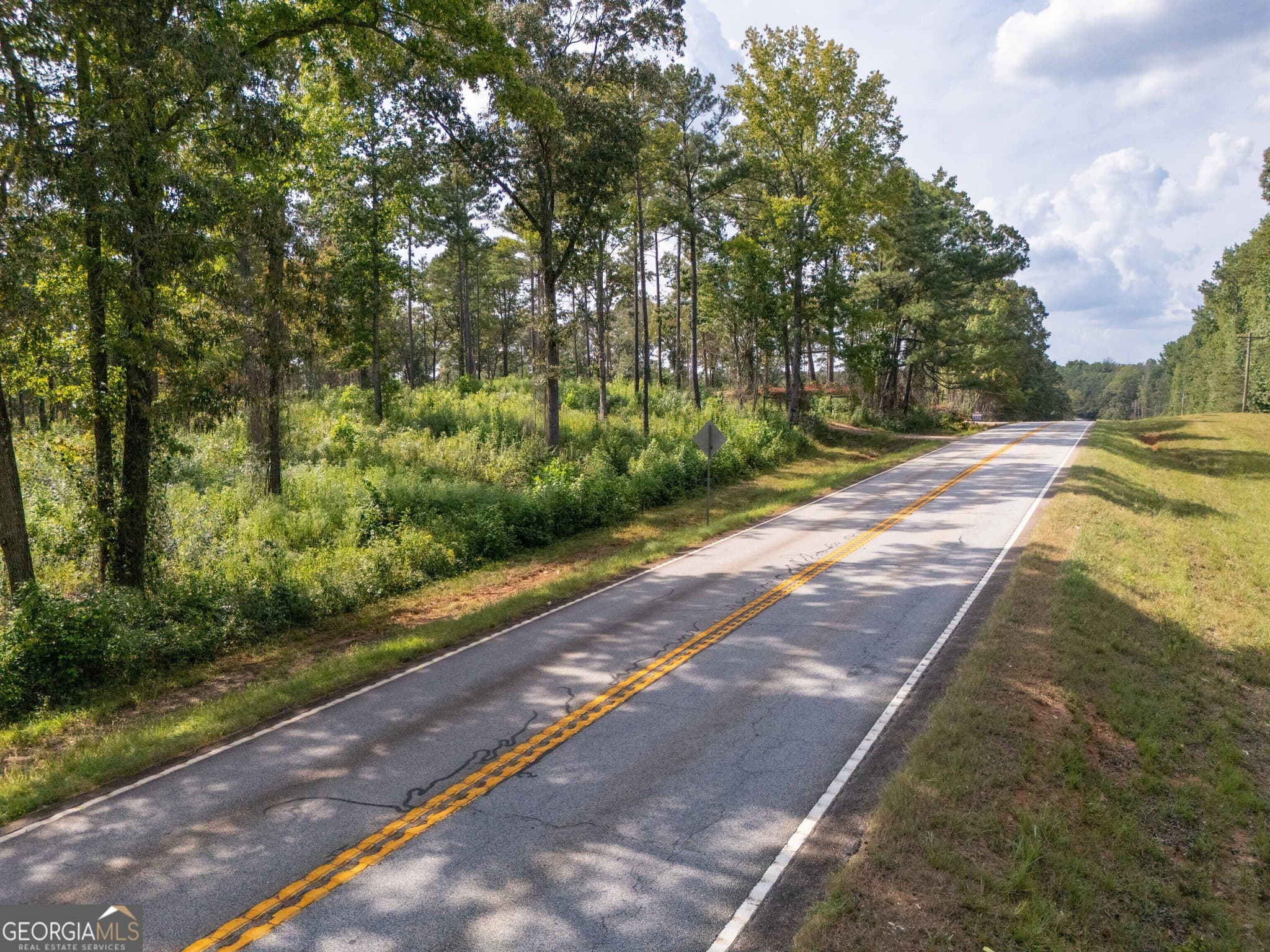 estate lot for sale at 0 Hwy 100 5 MACON LANE, Franklin, GA 30217 — photo 5