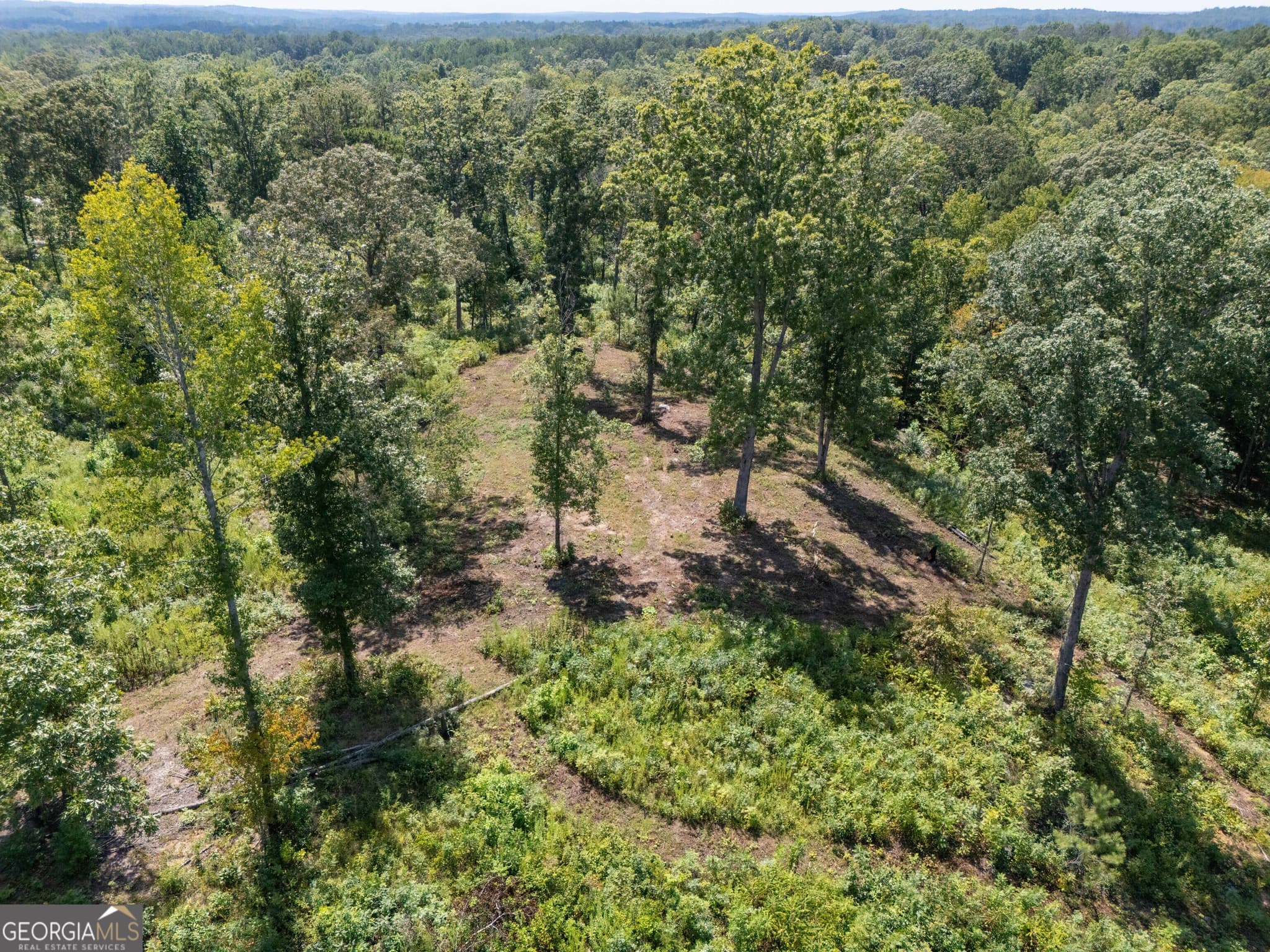 estate lot for sale at 0 Hwy 100 5 MACON LANE, Franklin, GA 30217 — photo 10