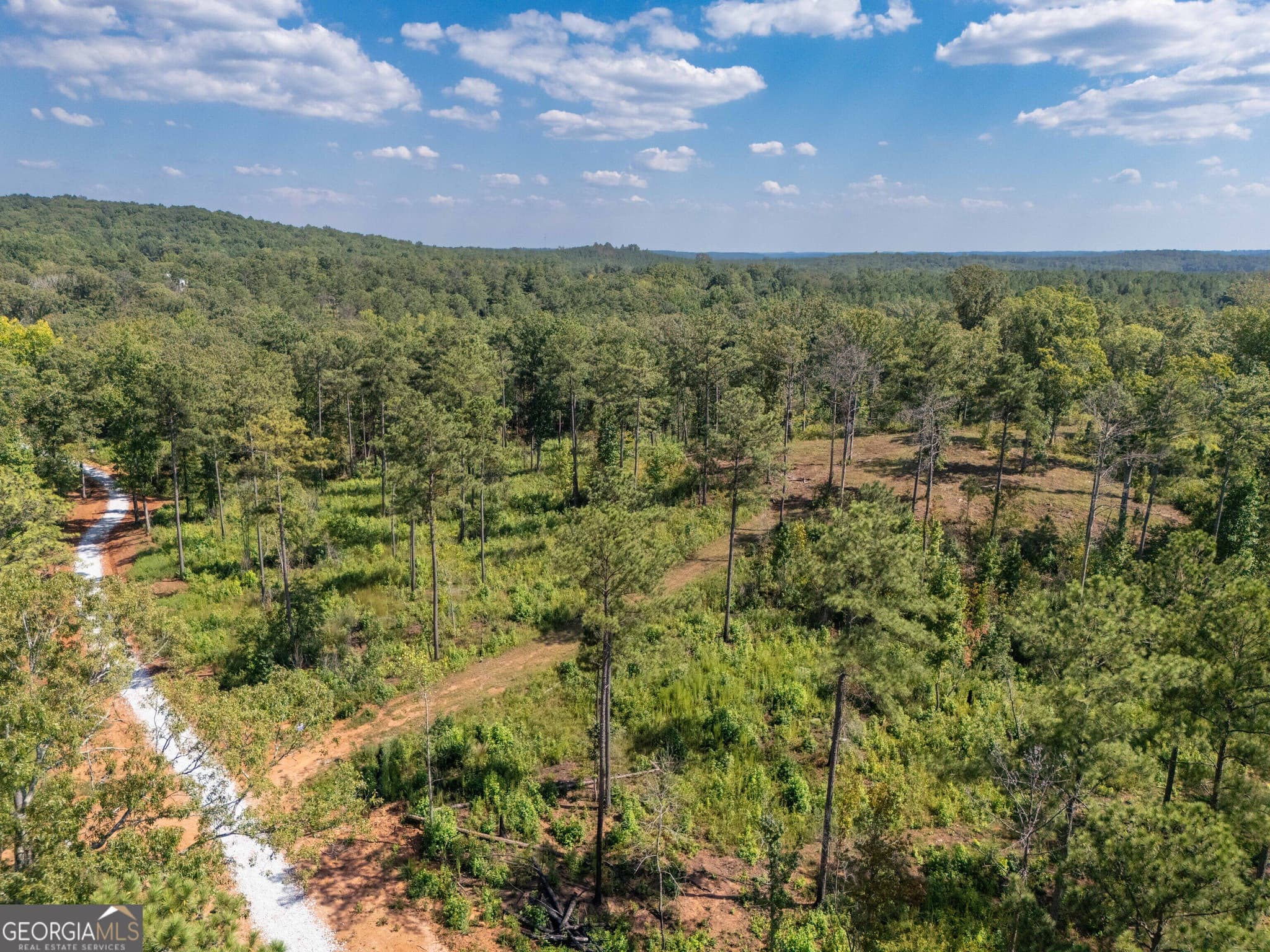 estate lot for sale at 0 Hwy 100 5 MACON LANE, Franklin, GA 30217 — photo 4