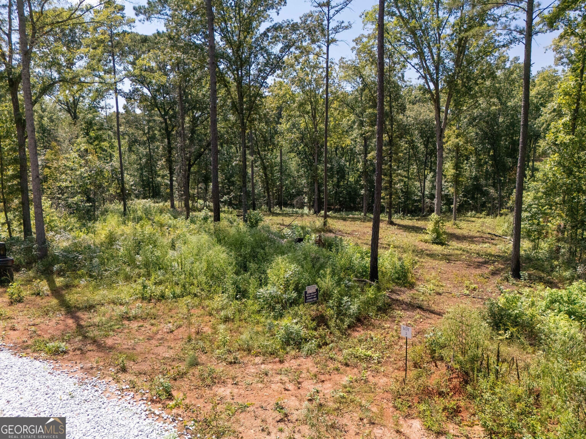 estate lot for sale at 0 Hwy 100 5 MACON LANE, Franklin, GA 30217 — photo 8