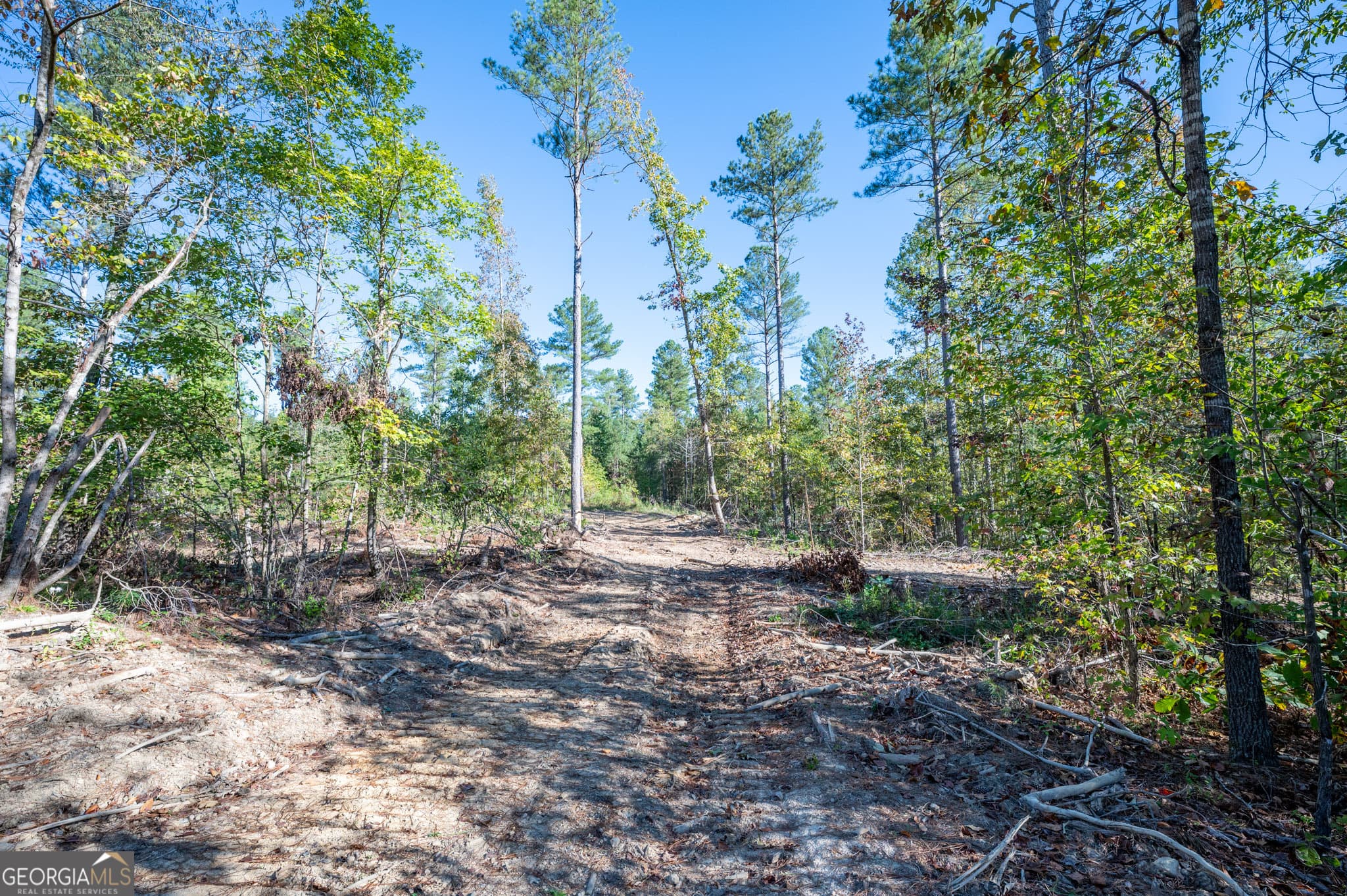 estate lot for sale at 3863 HWY 140, Rydal, GA 30171 — photo 2