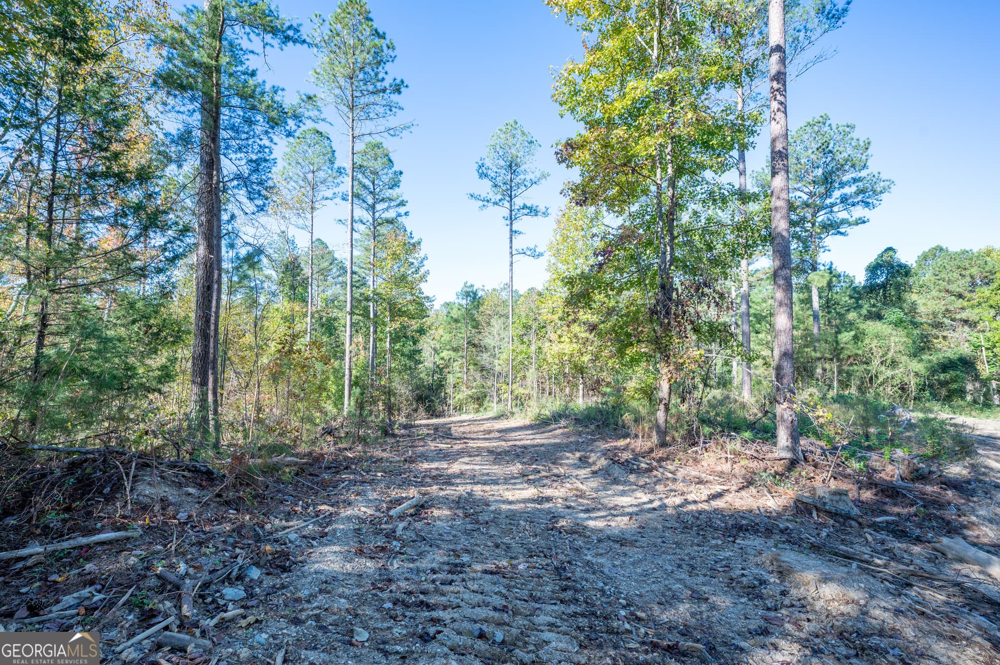 estate lot for sale at 3863 HWY 140, Rydal, GA 30171 — photo 6