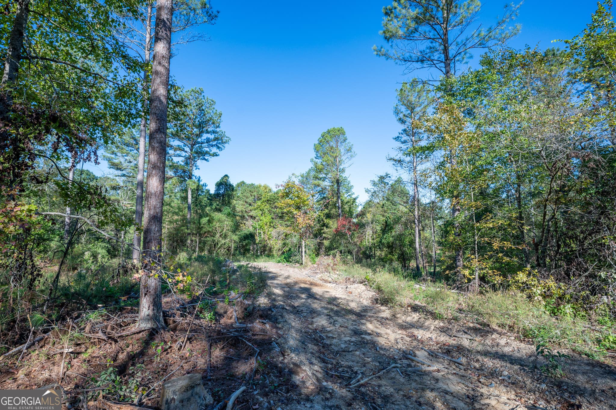 estate lot for sale at 3863 HWY 140, Rydal, GA 30171 — photo 7