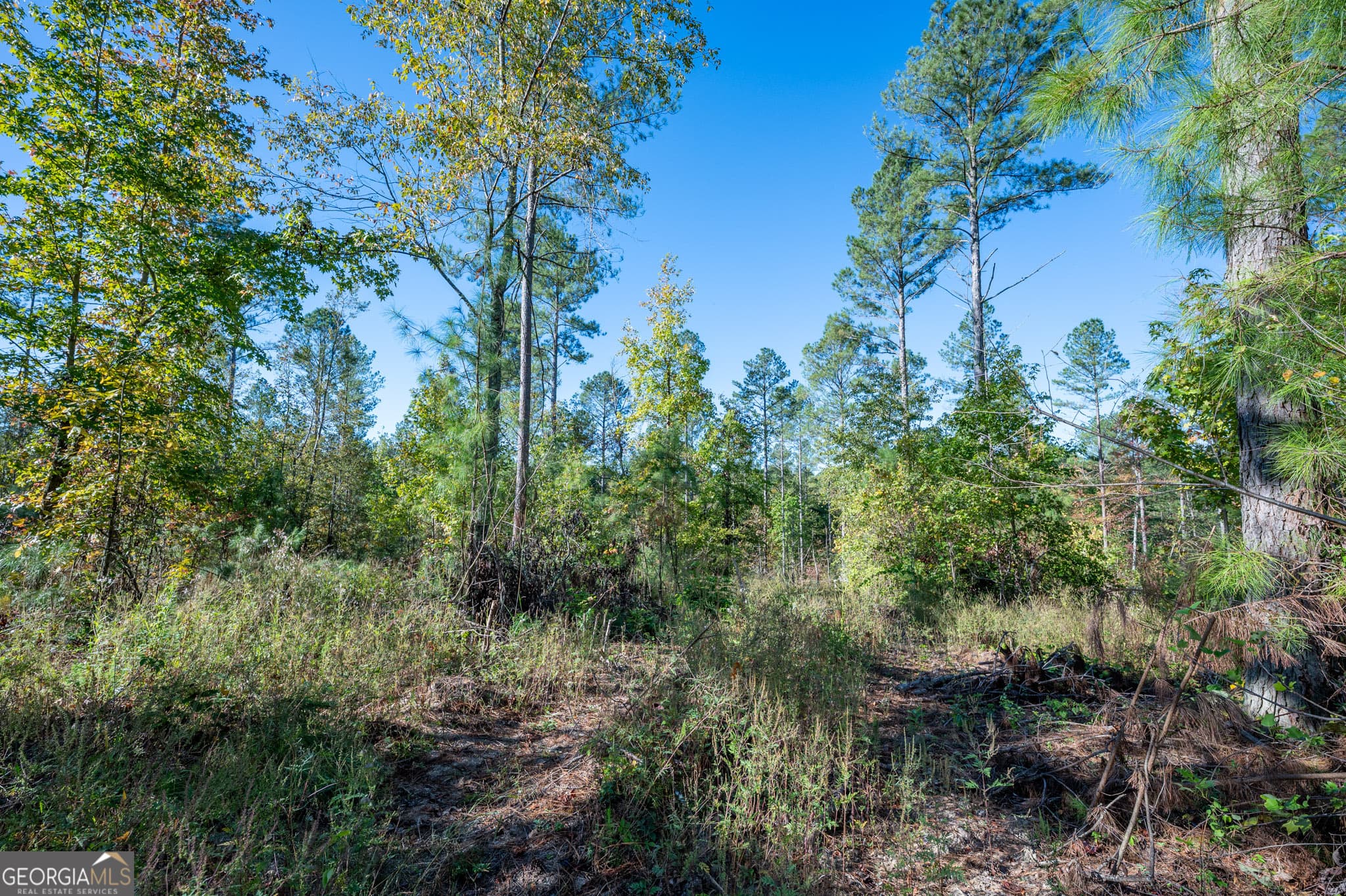 estate lot for sale at 3863 HWY 140, Rydal, GA 30171 — photo 5