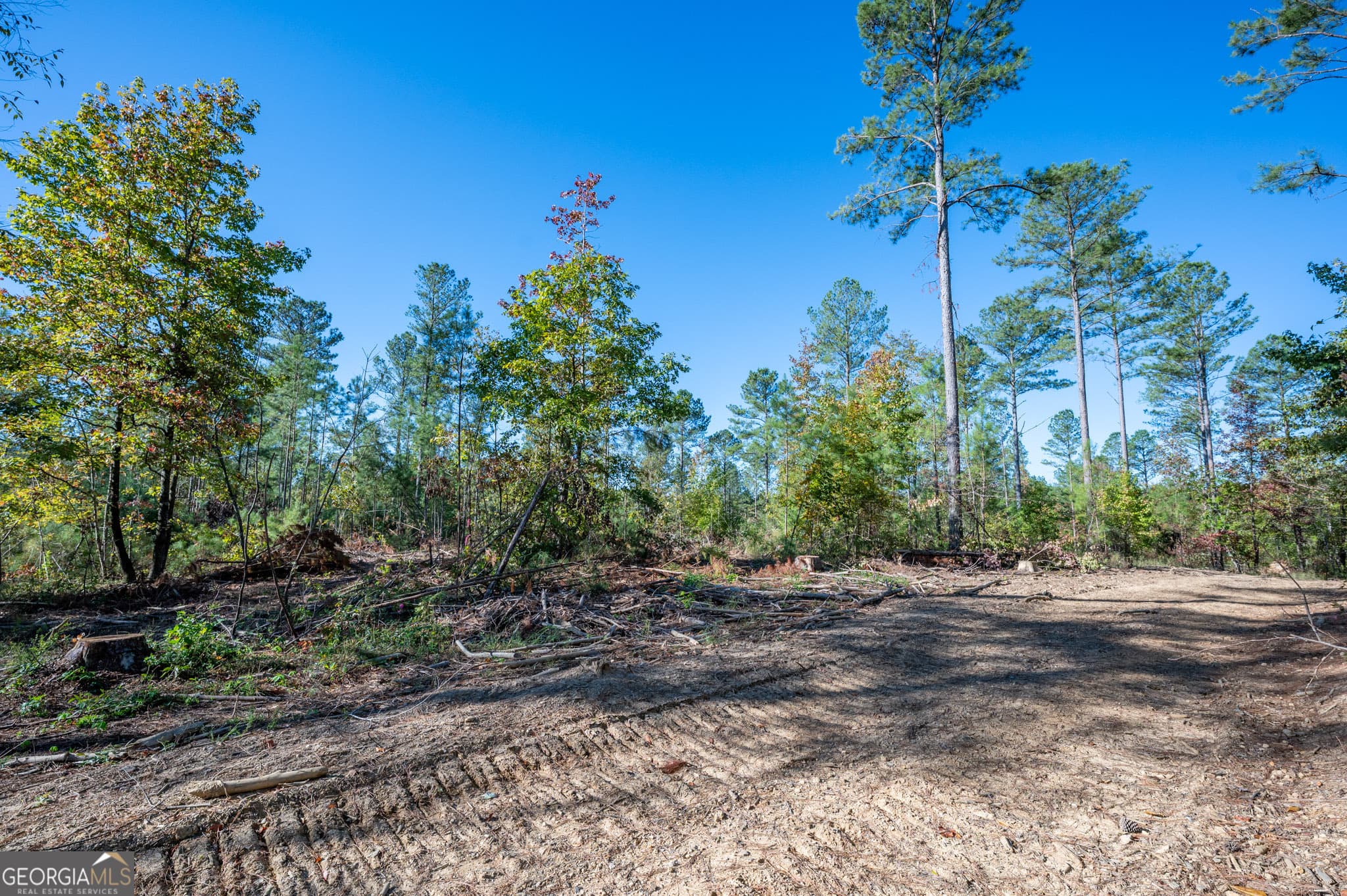 estate lot for sale at 3863 HWY 140, Rydal, GA 30171 — photo 9