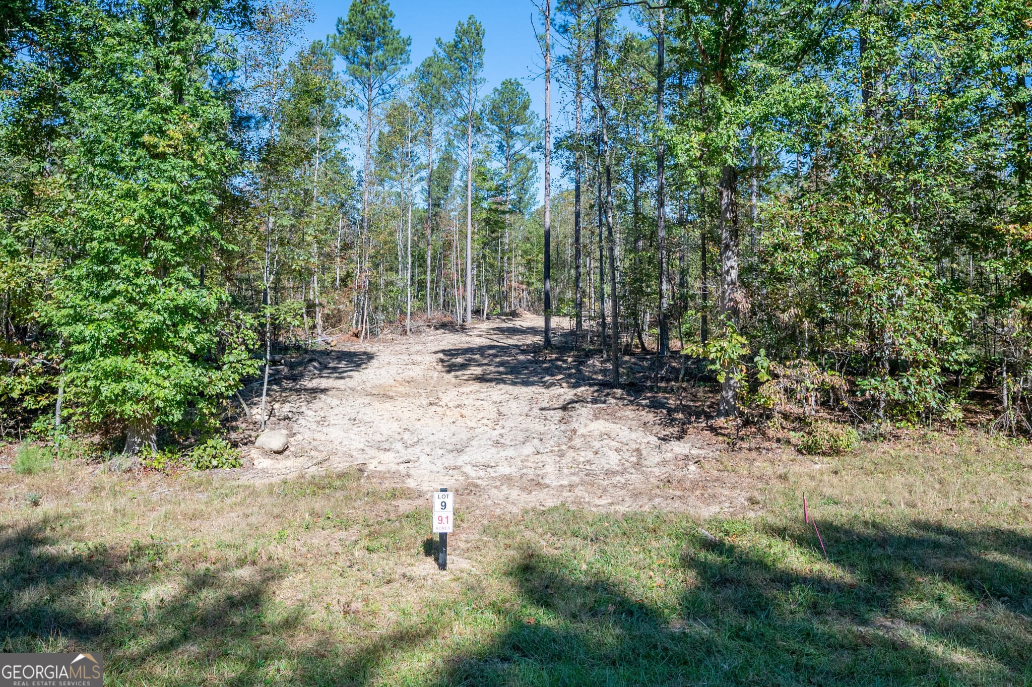 estate lot for sale at 3863 HWY 140, Rydal, GA 30171 — photo 10