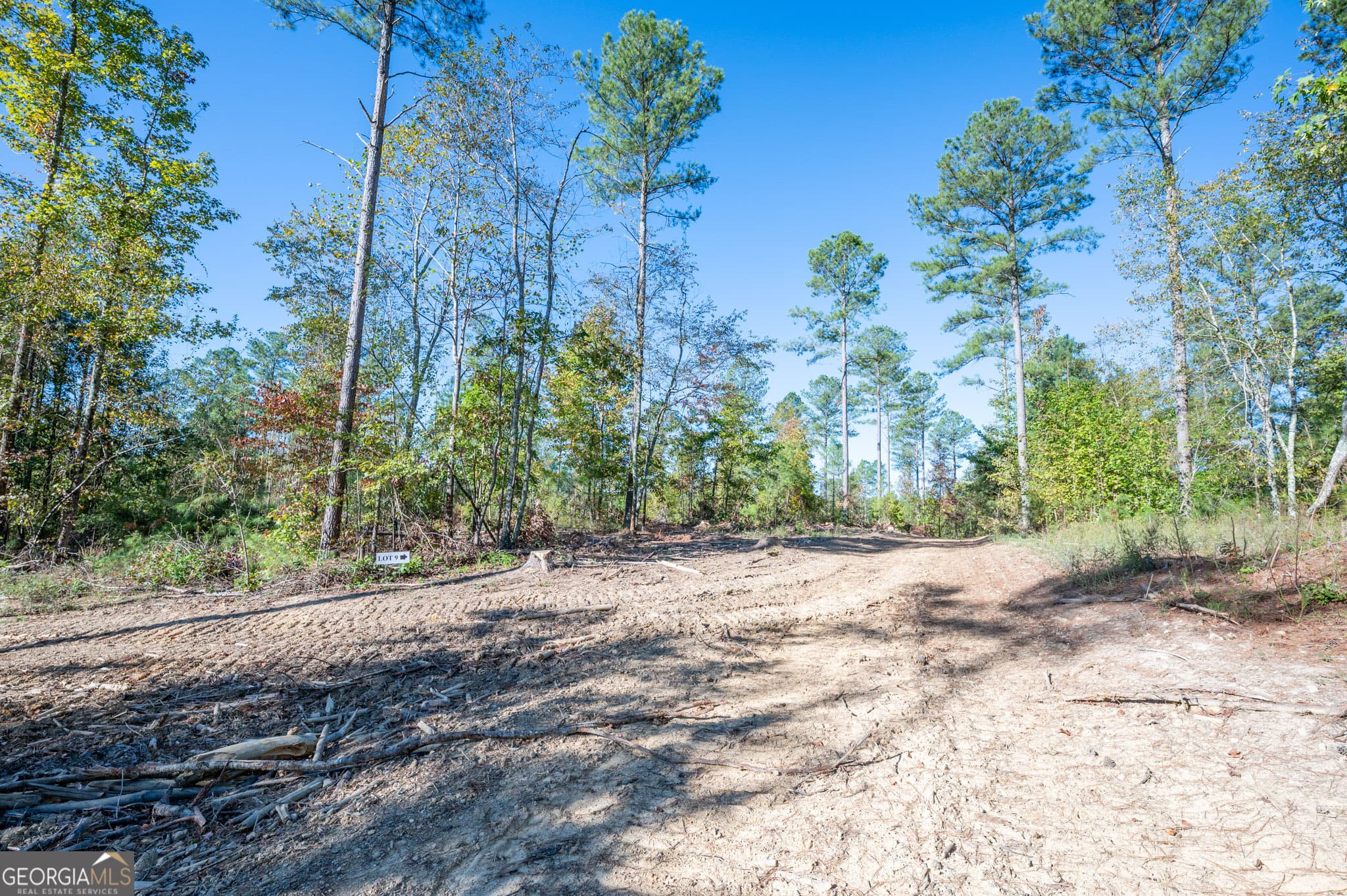 estate lot for sale at 3863 HWY 140, Rydal, GA 30171 — photo 4