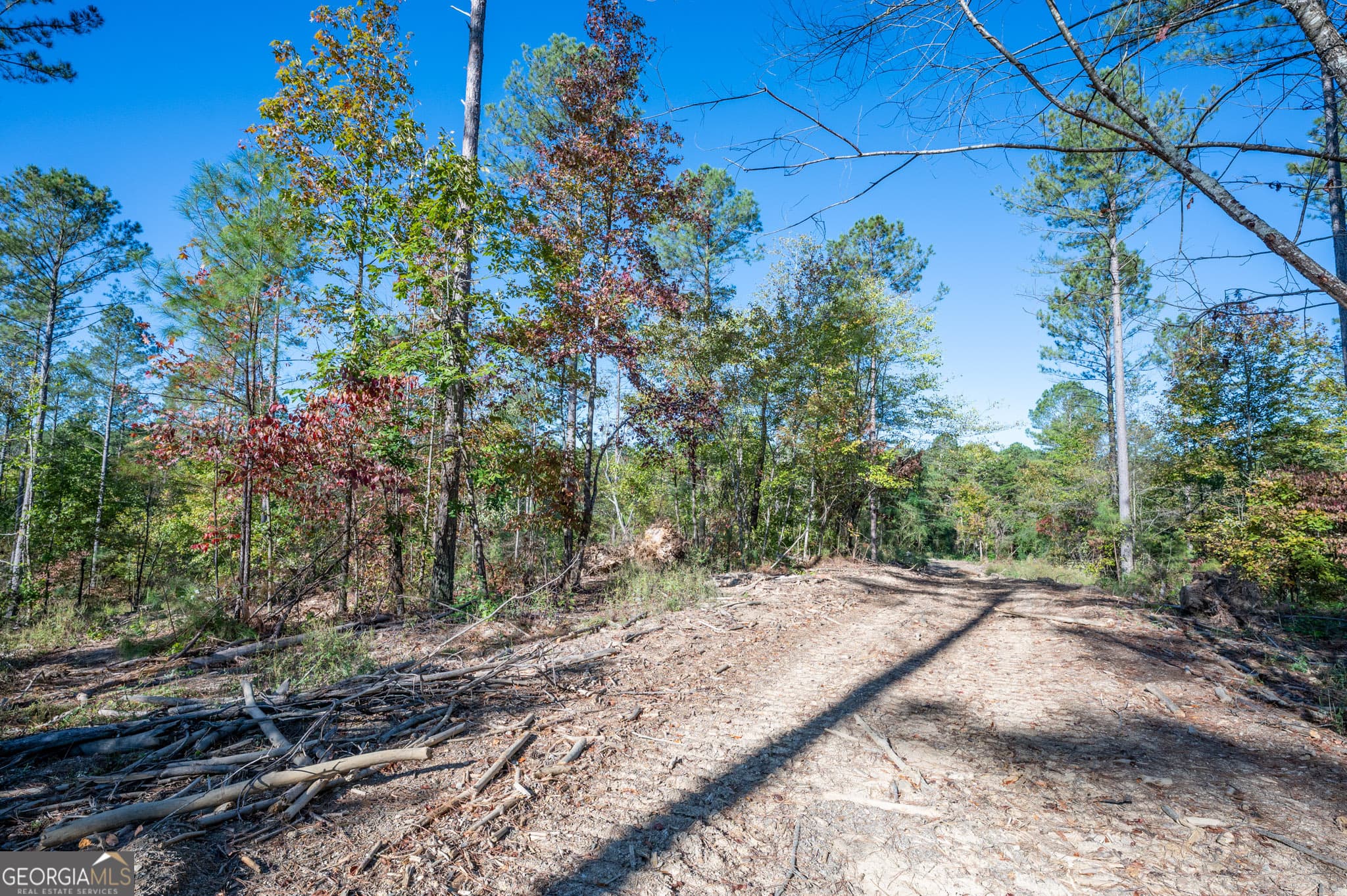 estate lot for sale at 3863 HWY 140, Rydal, GA 30171 — photo 8
