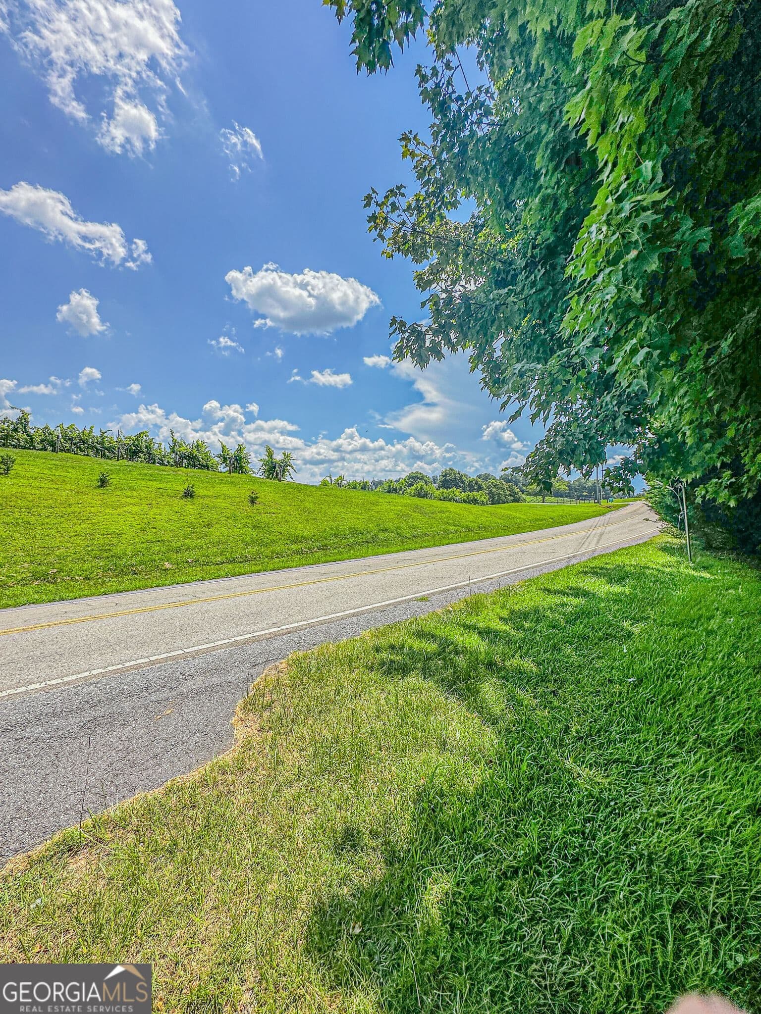 3 bedroom, 2 bathroom, 1,040 sq ft manufactured home,single family residence for rent at 6220 Town Creek Road, Dahlonega, GA 30533 for $1,425 a month — photo 9