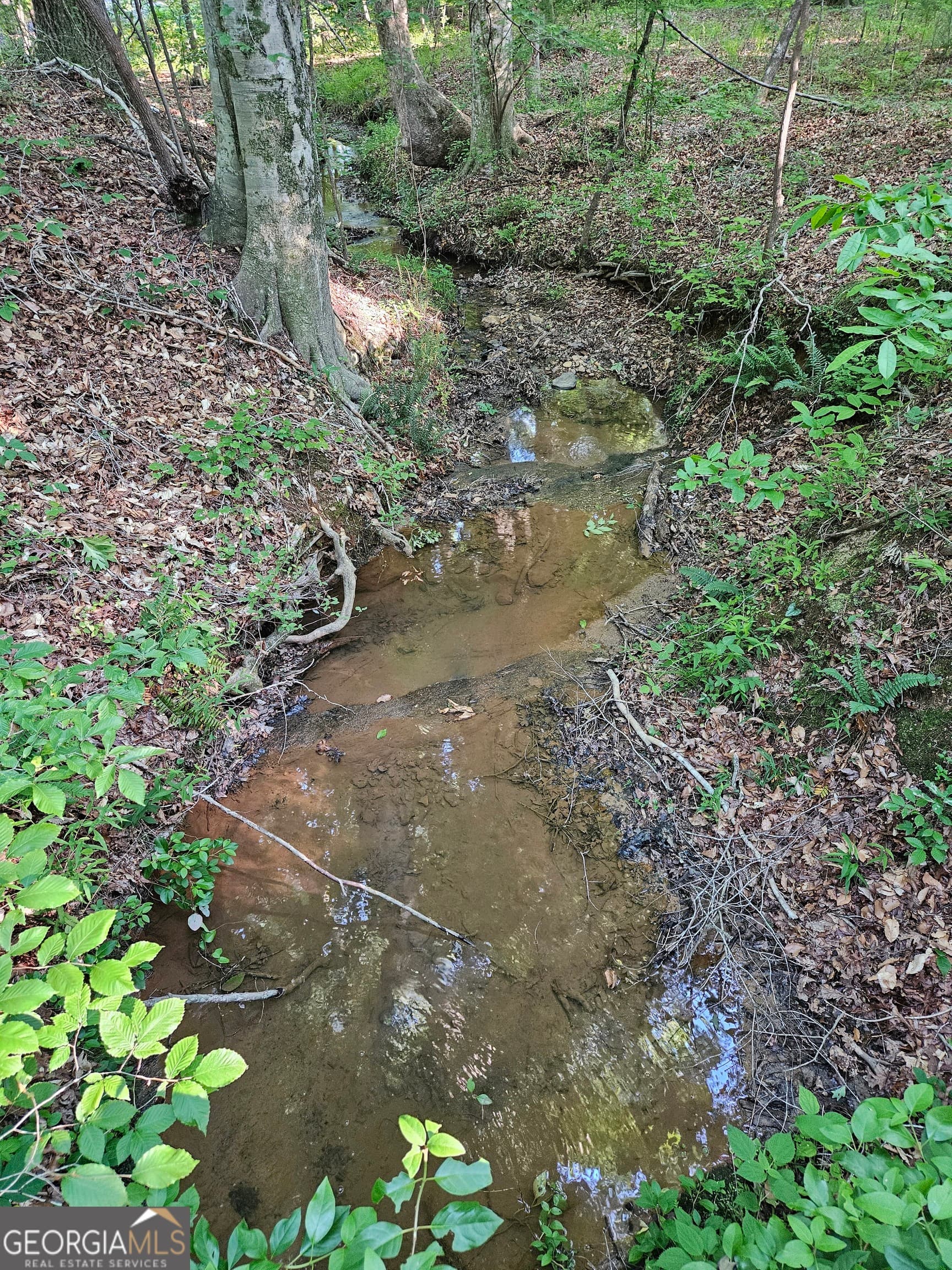 residential lot for sale at 0 Ponderosa, Dallas, GA 30132 — photo 2